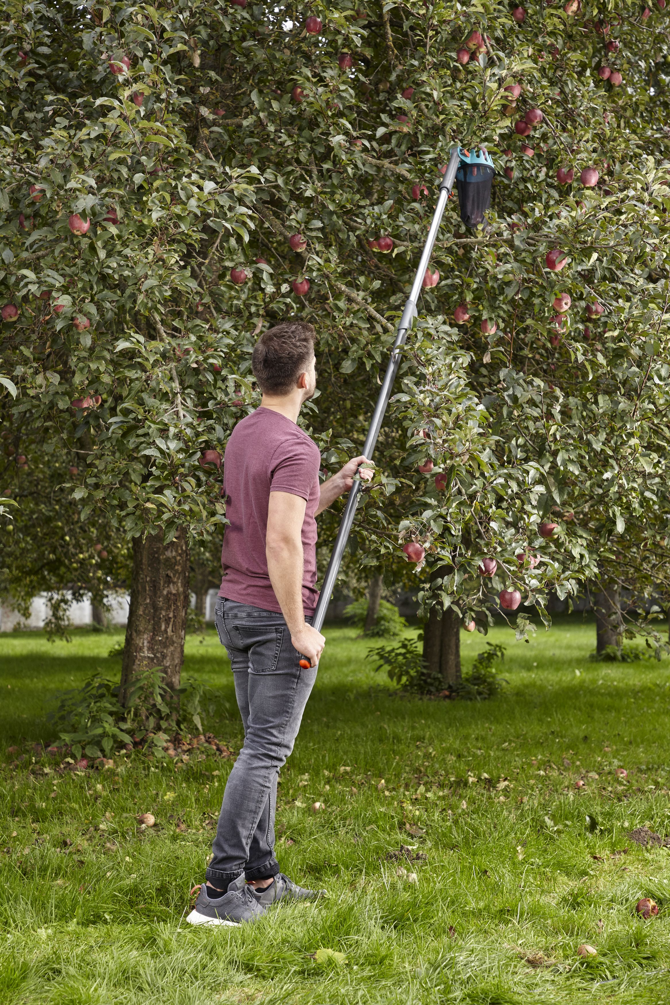 Recolector de fruta Combisystem