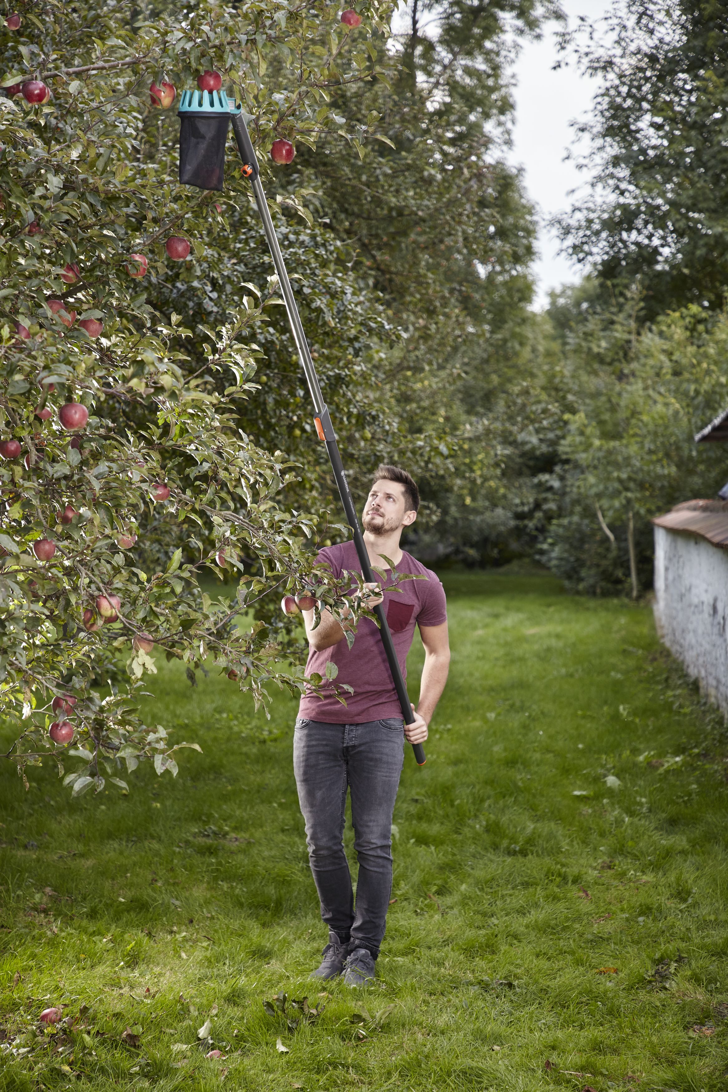 Recolector de fruta Combisystem