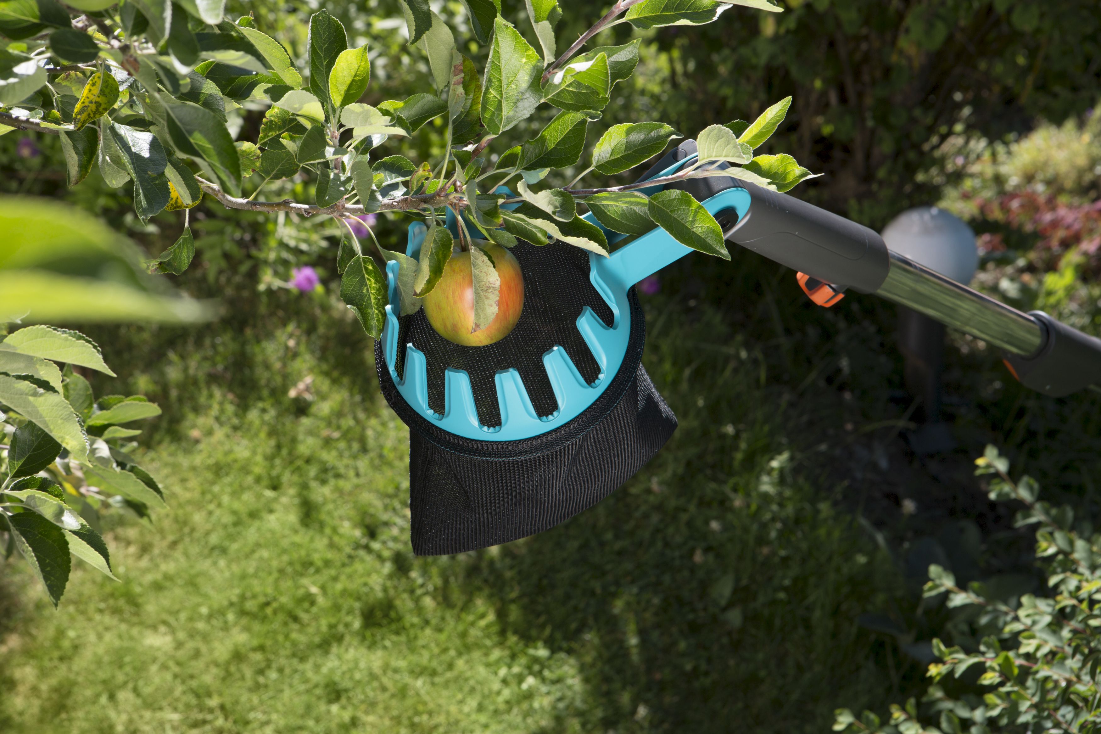 Recolector de fruta Combisystem