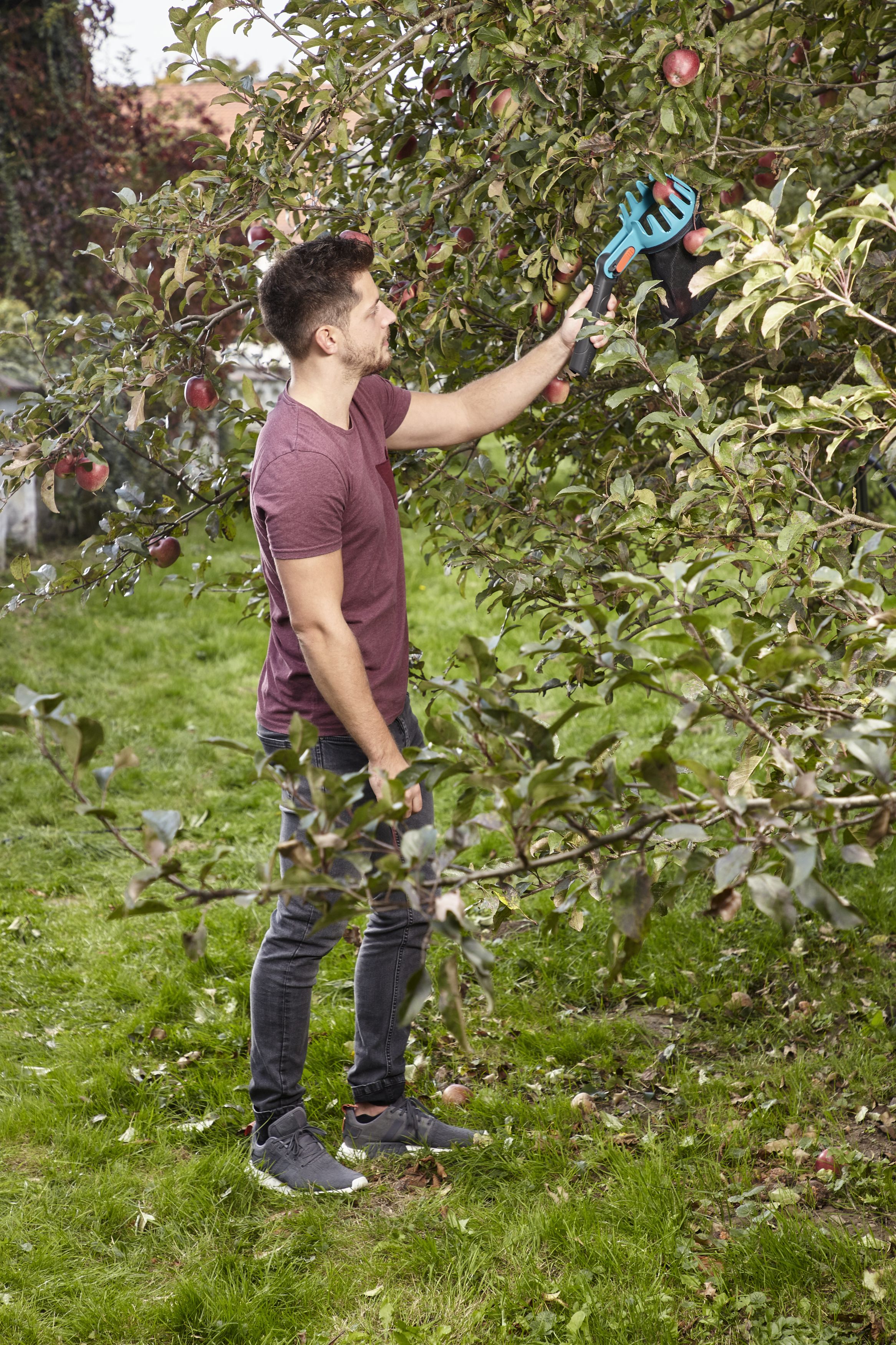 Recolector de fruta Combisystem