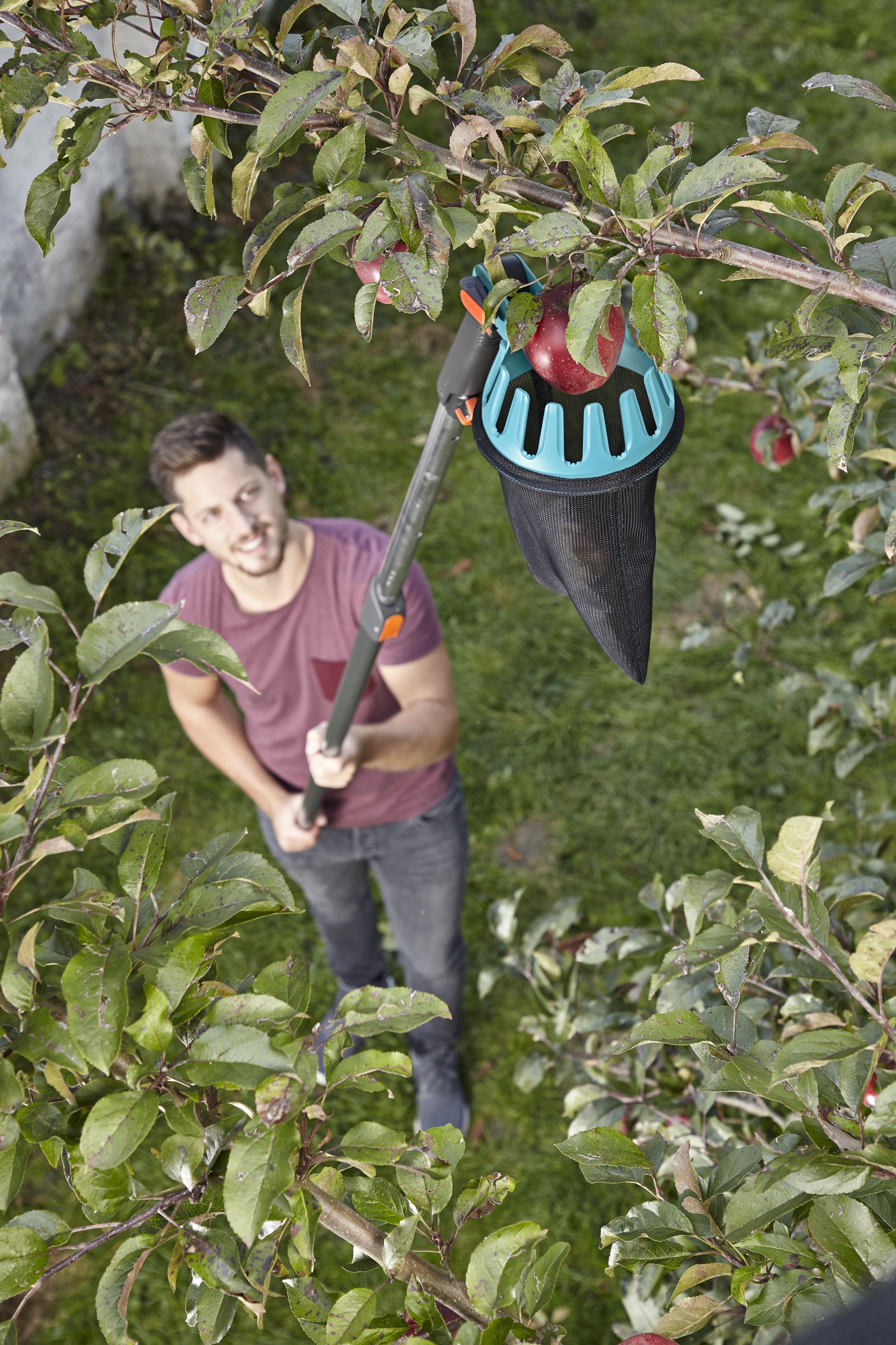 Recolector de fruta Combisystem