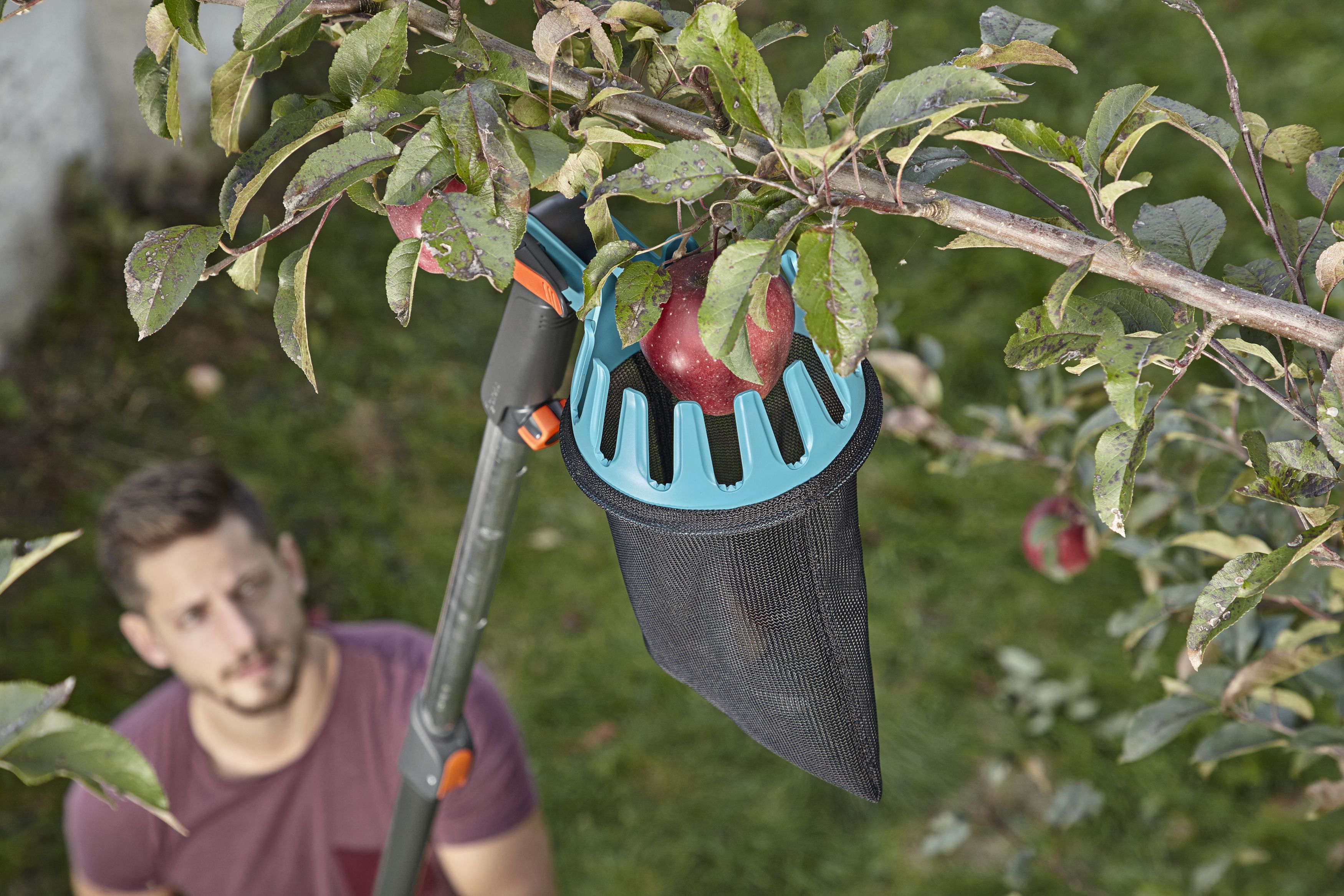 Recolector de fruta Combisystem