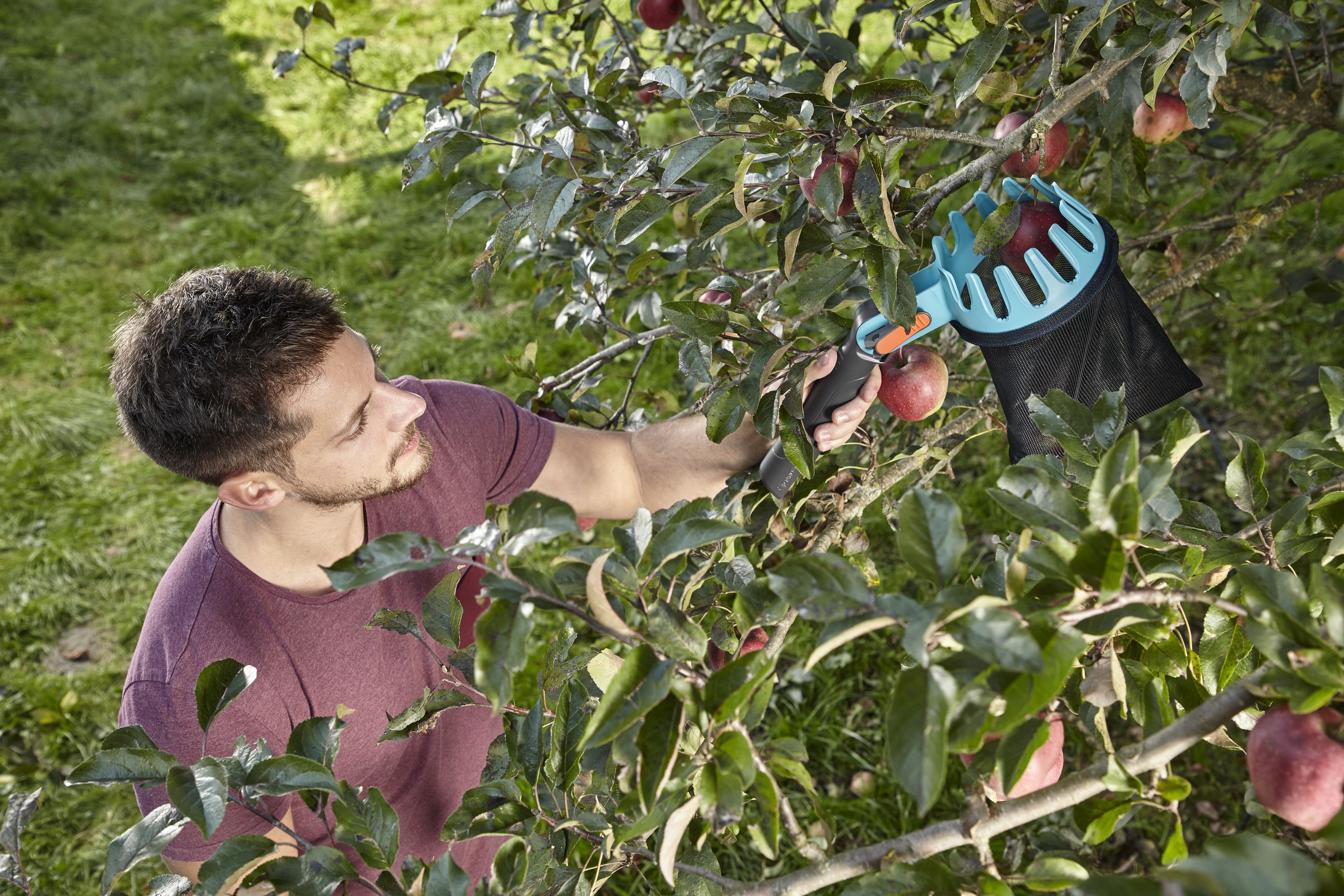Recolector de fruta Combisystem