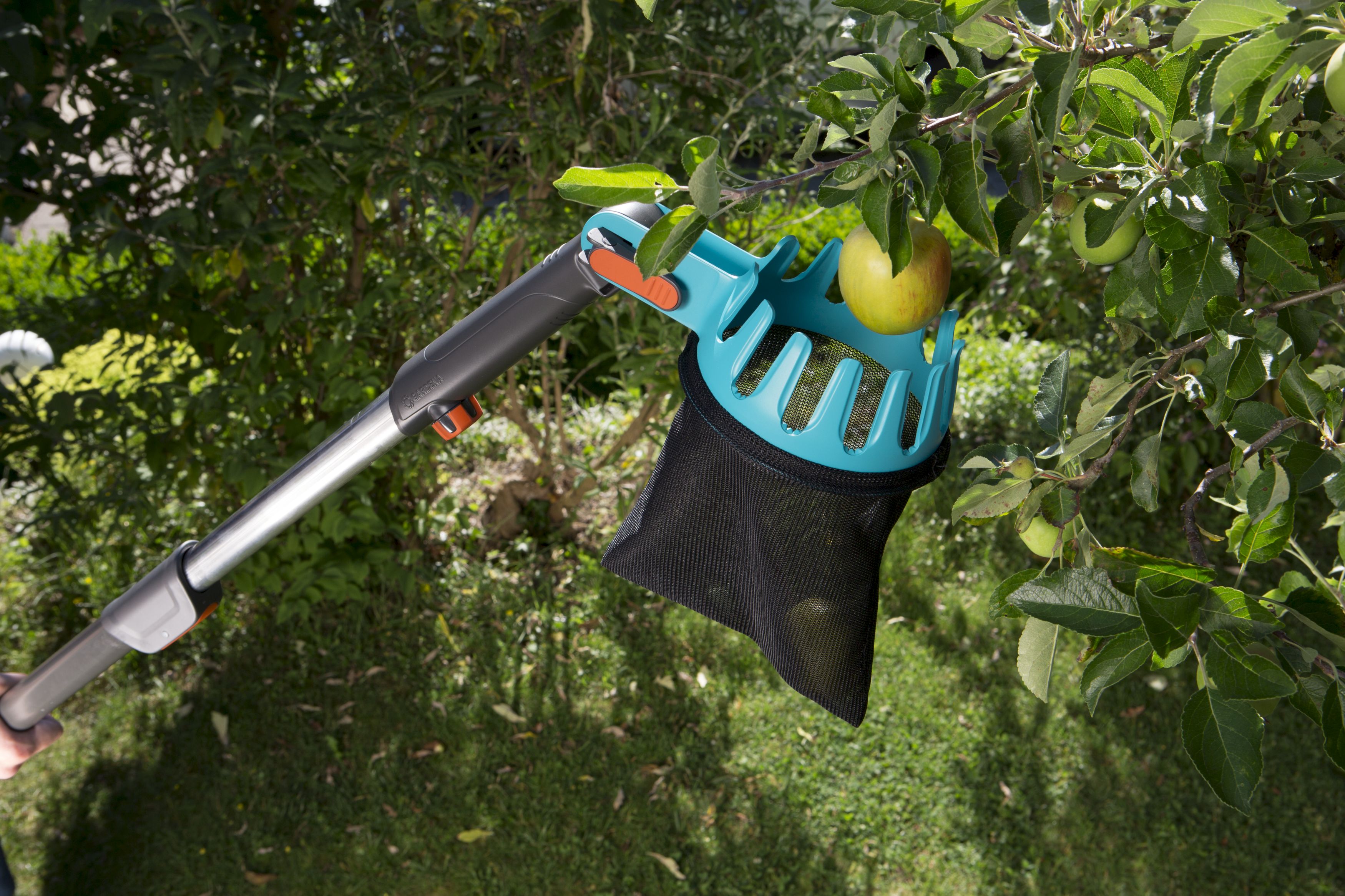 Recolector de fruta Combisystem