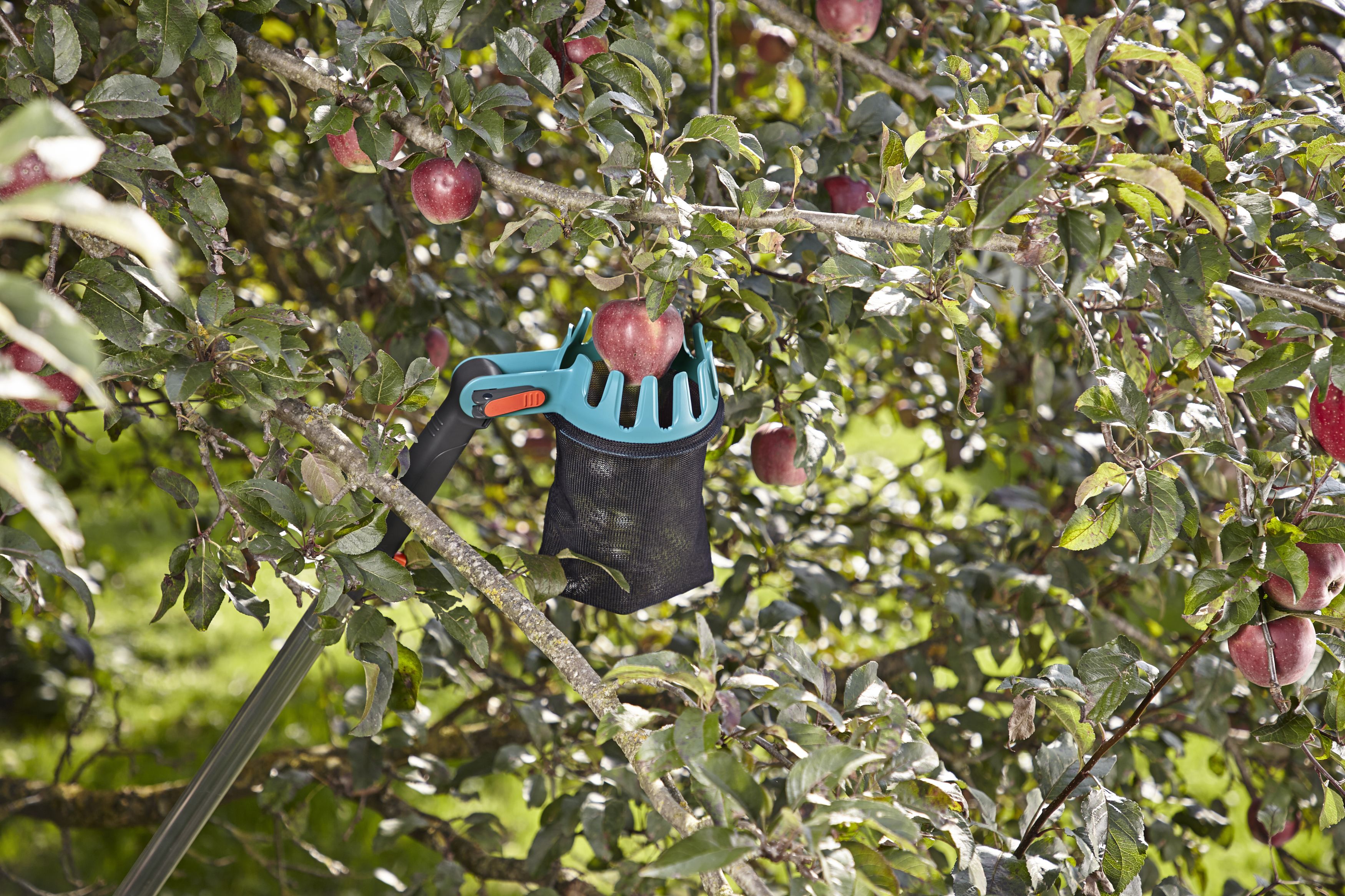 Recolector de fruta Combisystem