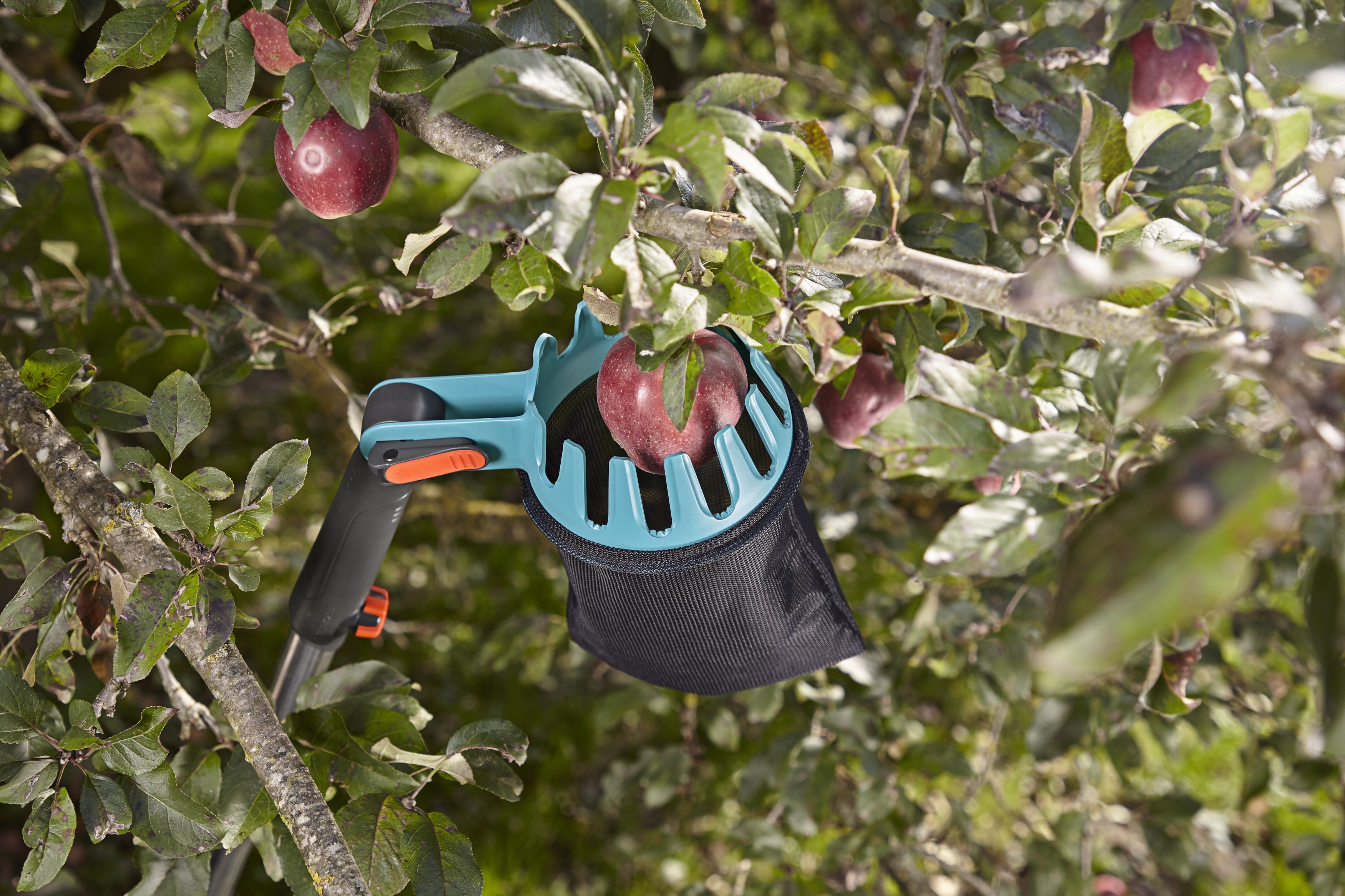 Recolector de fruta Combisystem