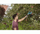 Recolector de fruta Combisystem