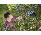 Recolector de fruta Combisystem