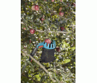 Recolector de fruta Combisystem