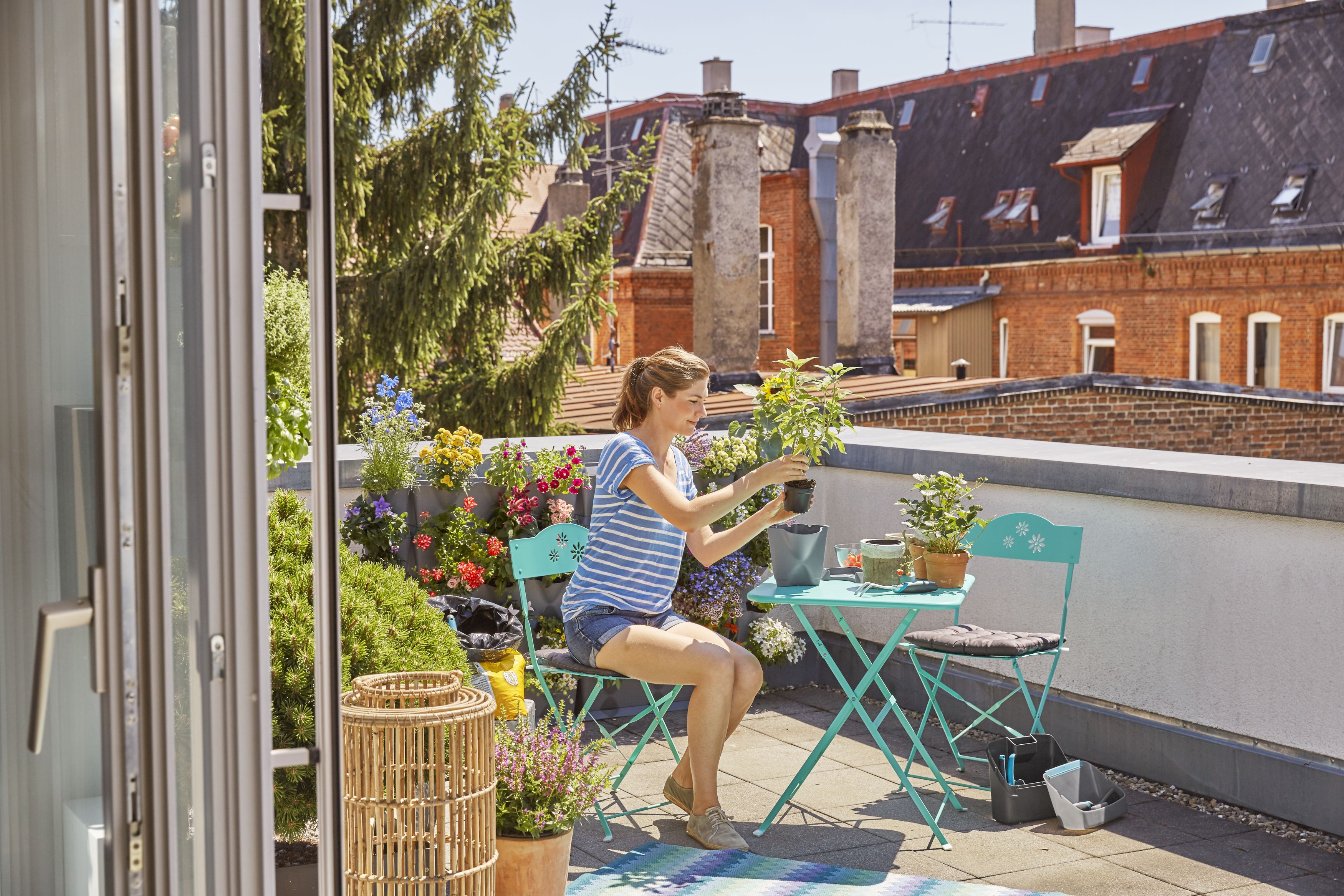 NatureUp! Set Básico Vertical