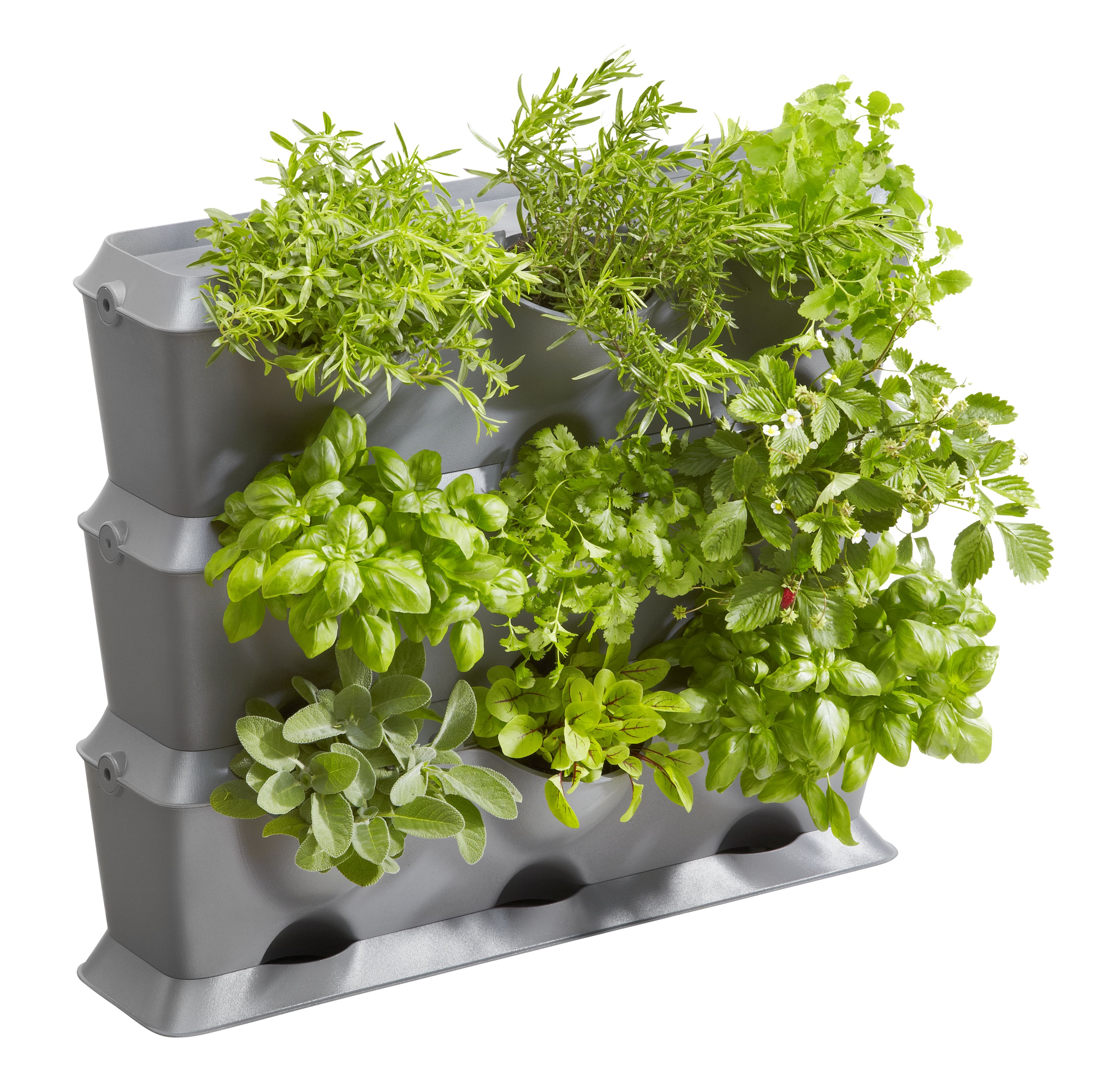 NatureUp! Set Básico Vertical