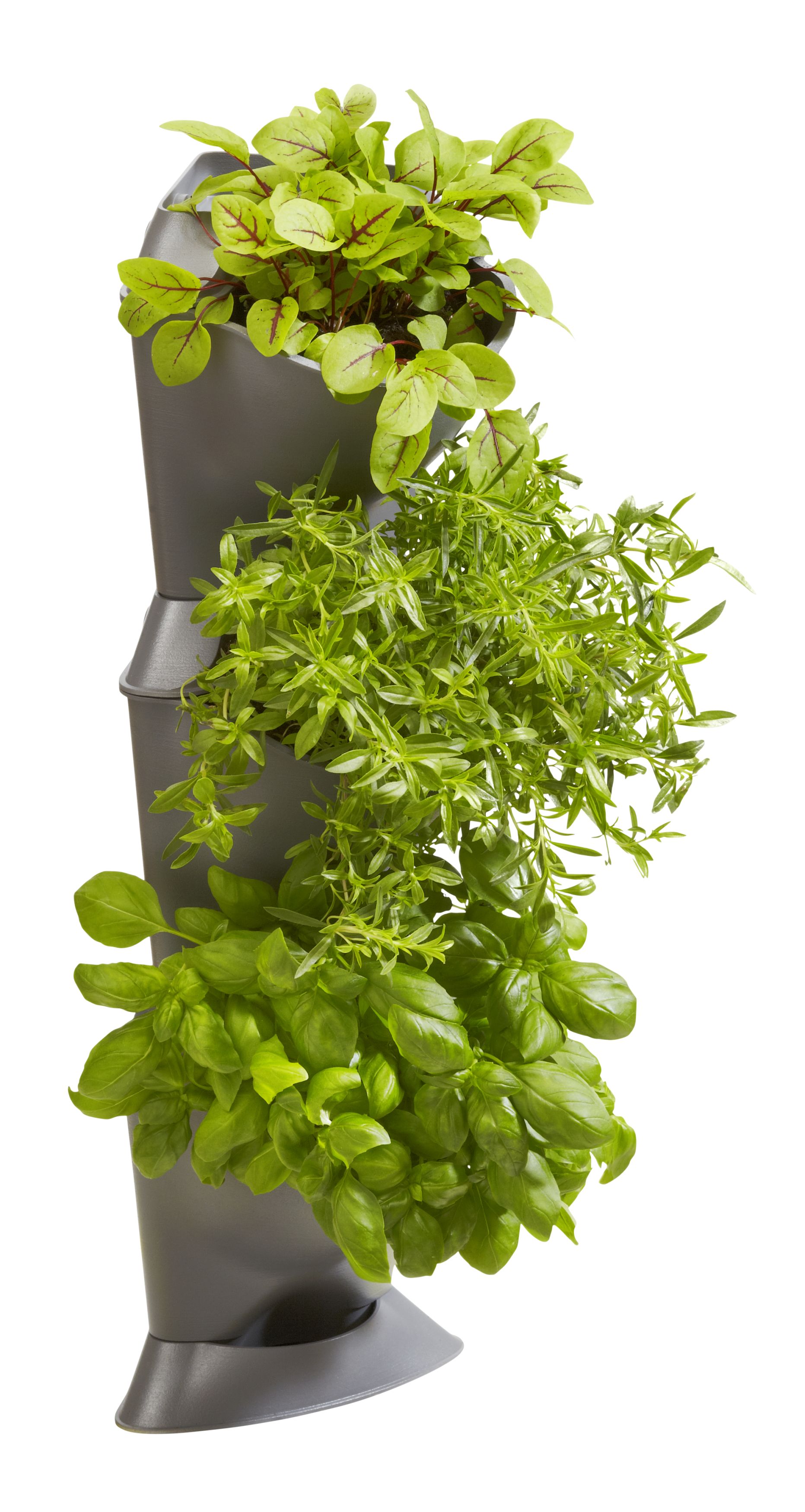 NatureUp! Set Básico de Esquina