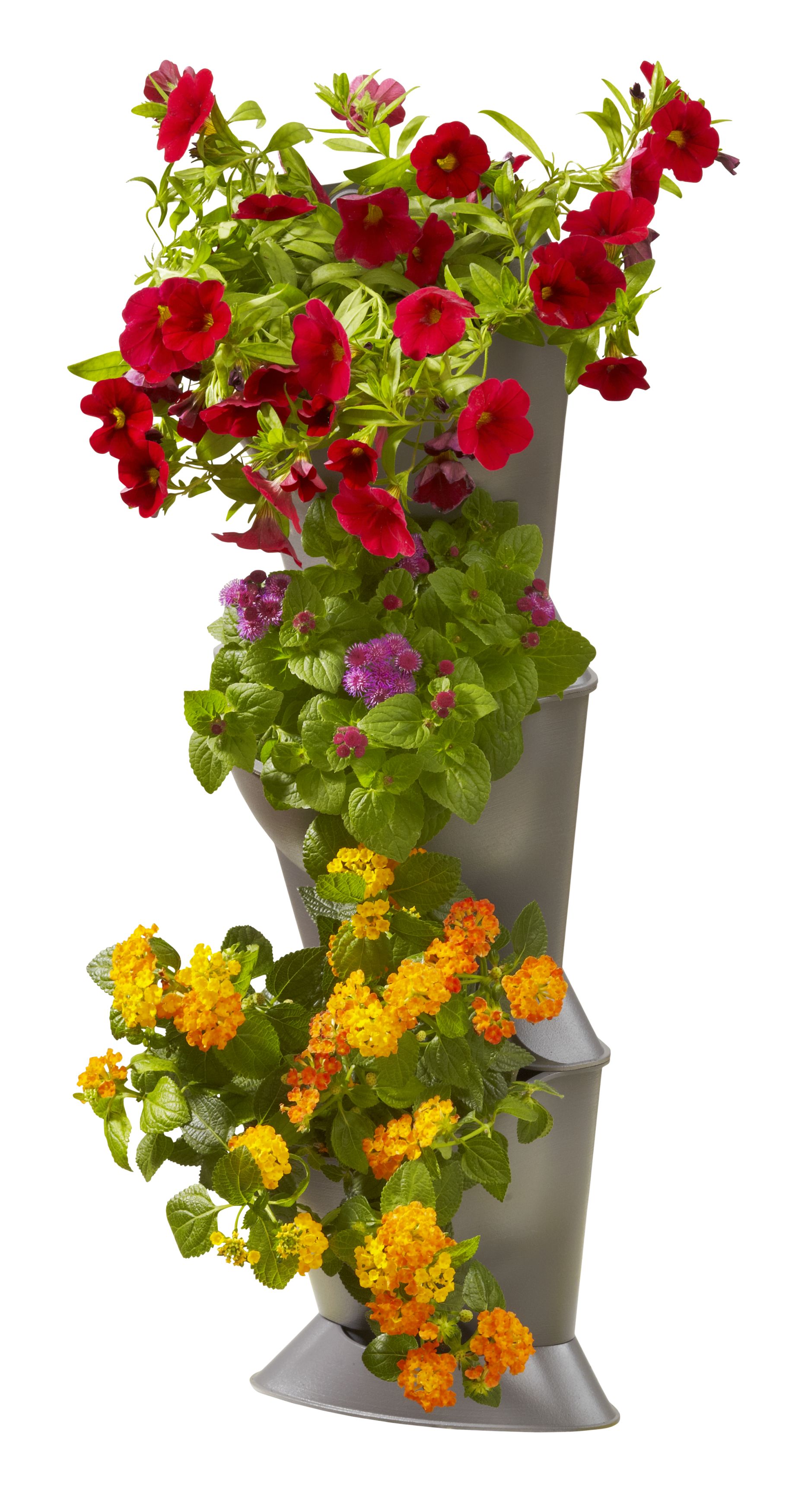 NatureUp! Set Básico de Esquina