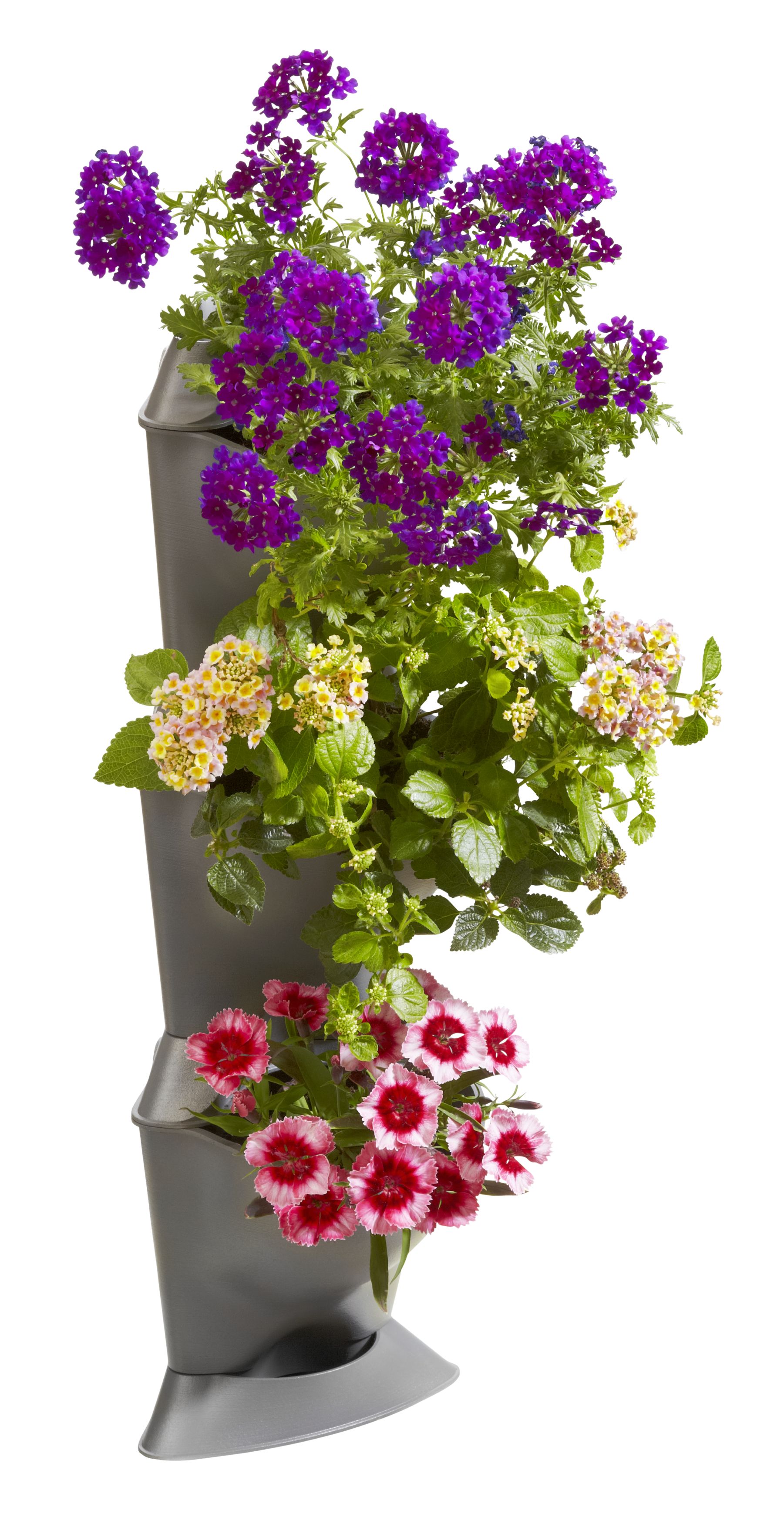 NatureUp! Set Básico de Esquina