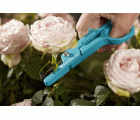 Tijeras para cortar rosas