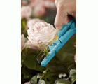 Tijeras para cortar rosas