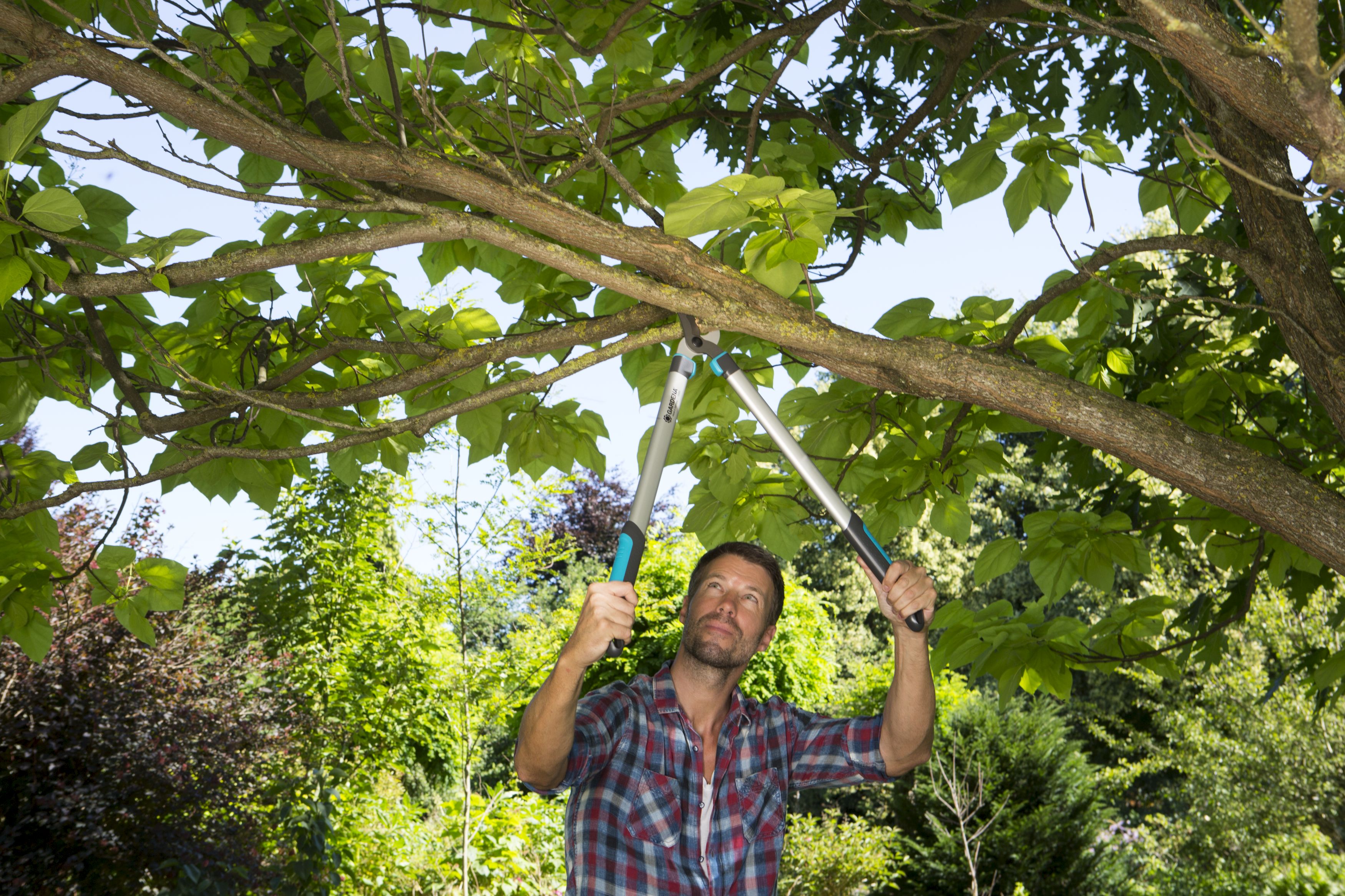 Cortarramas EasyCut Promo 680 B