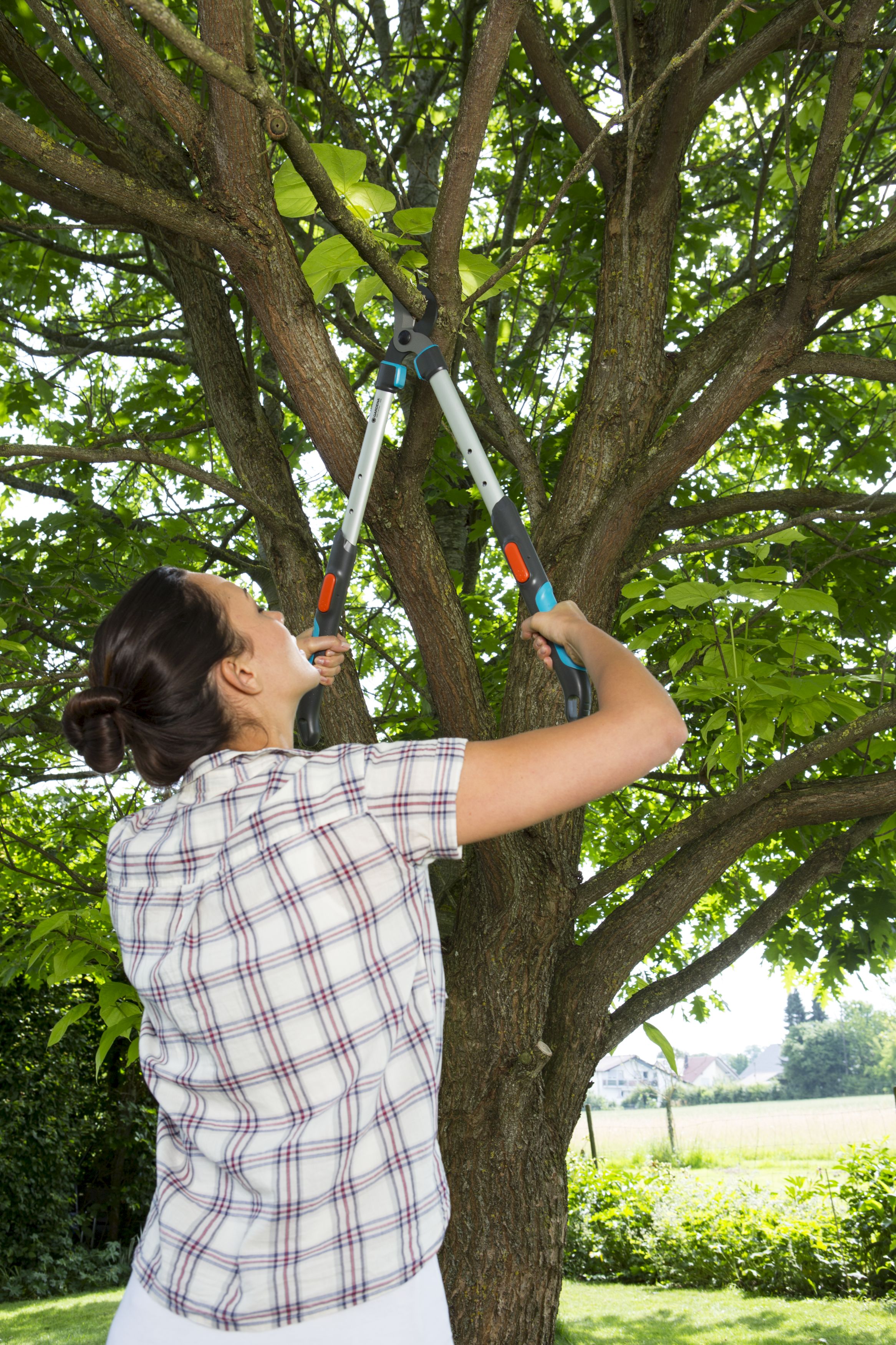 Cortarramas TeleCut 520-670 B