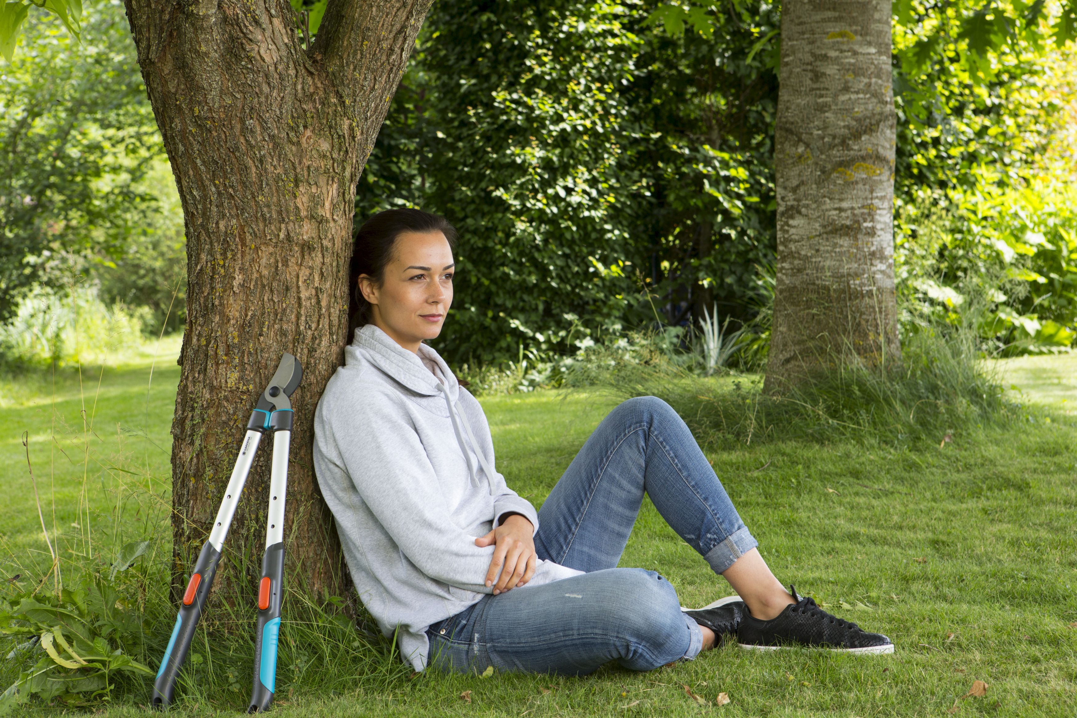 Cortarramas TeleCut 520-670 B