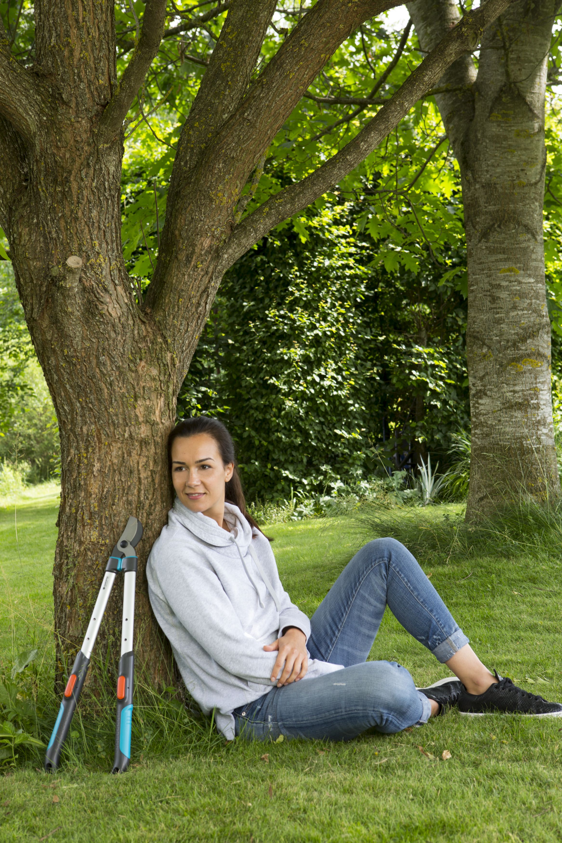 Cortarramas TeleCut 520-670 B