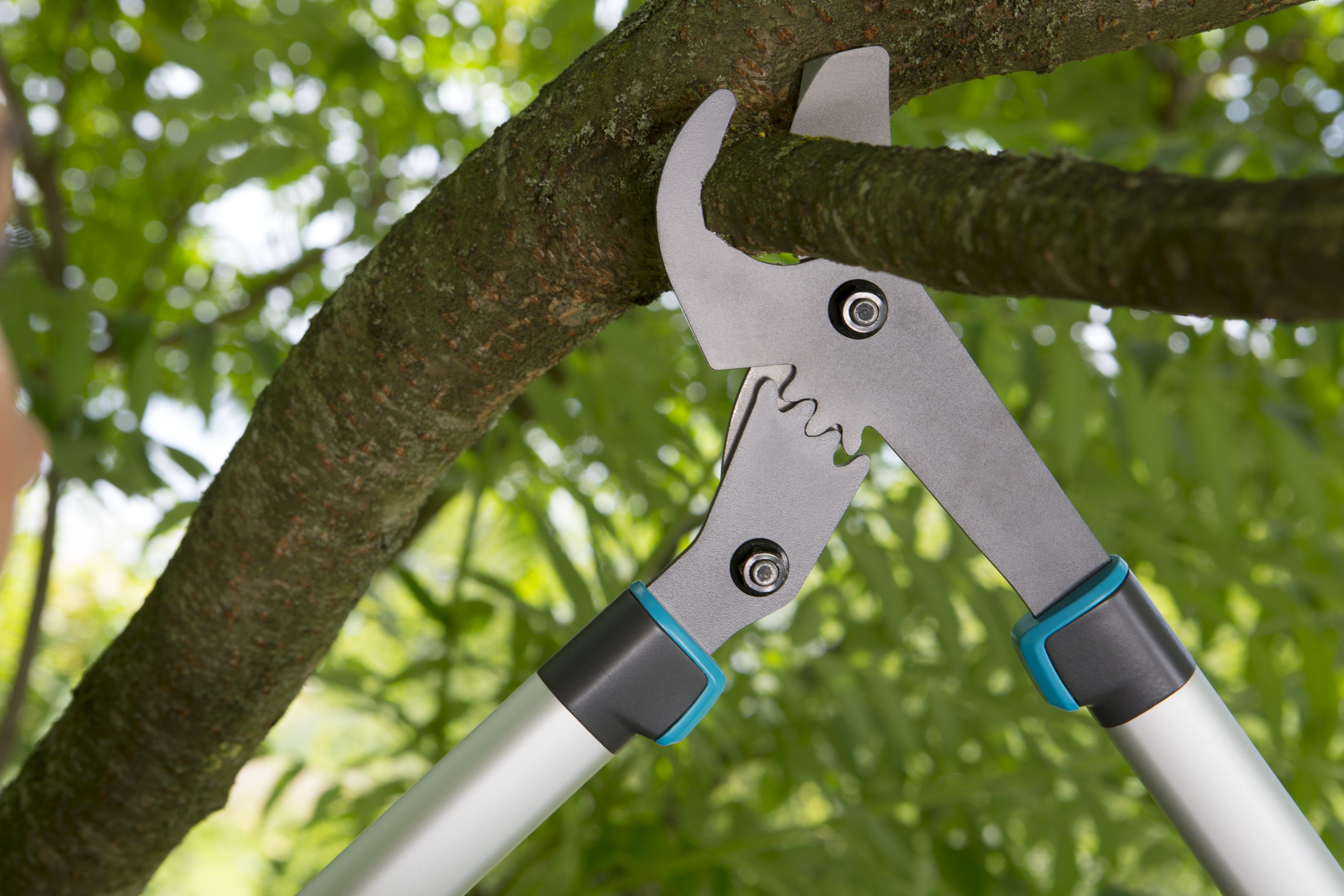 Cortarramas EnergyCut 600 B