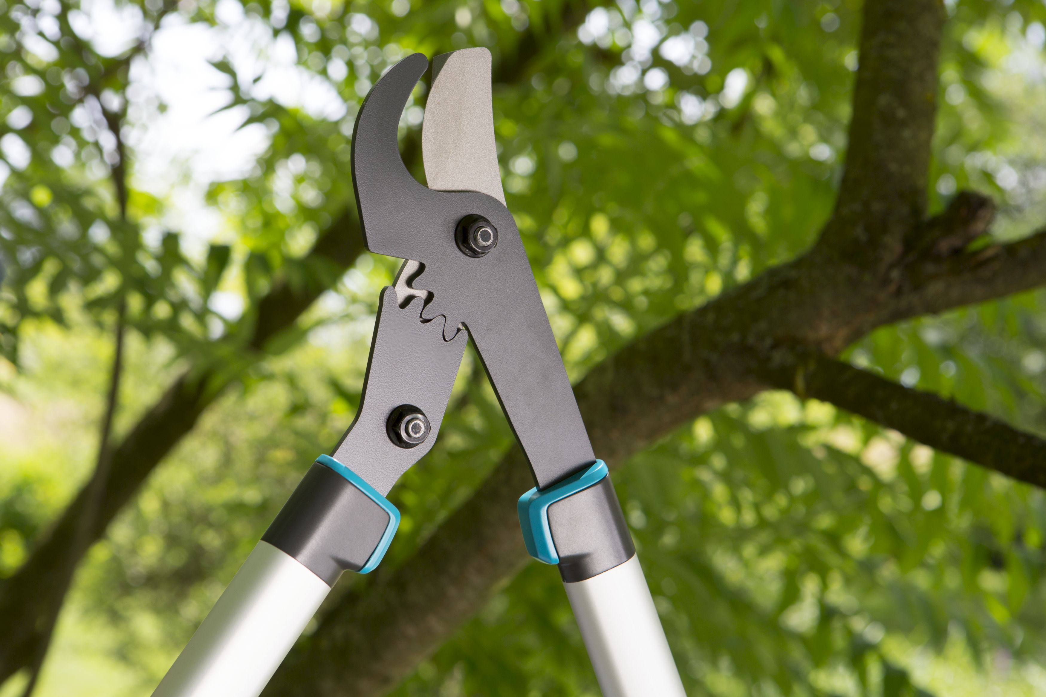 Cortarramas EnergyCut 600 B