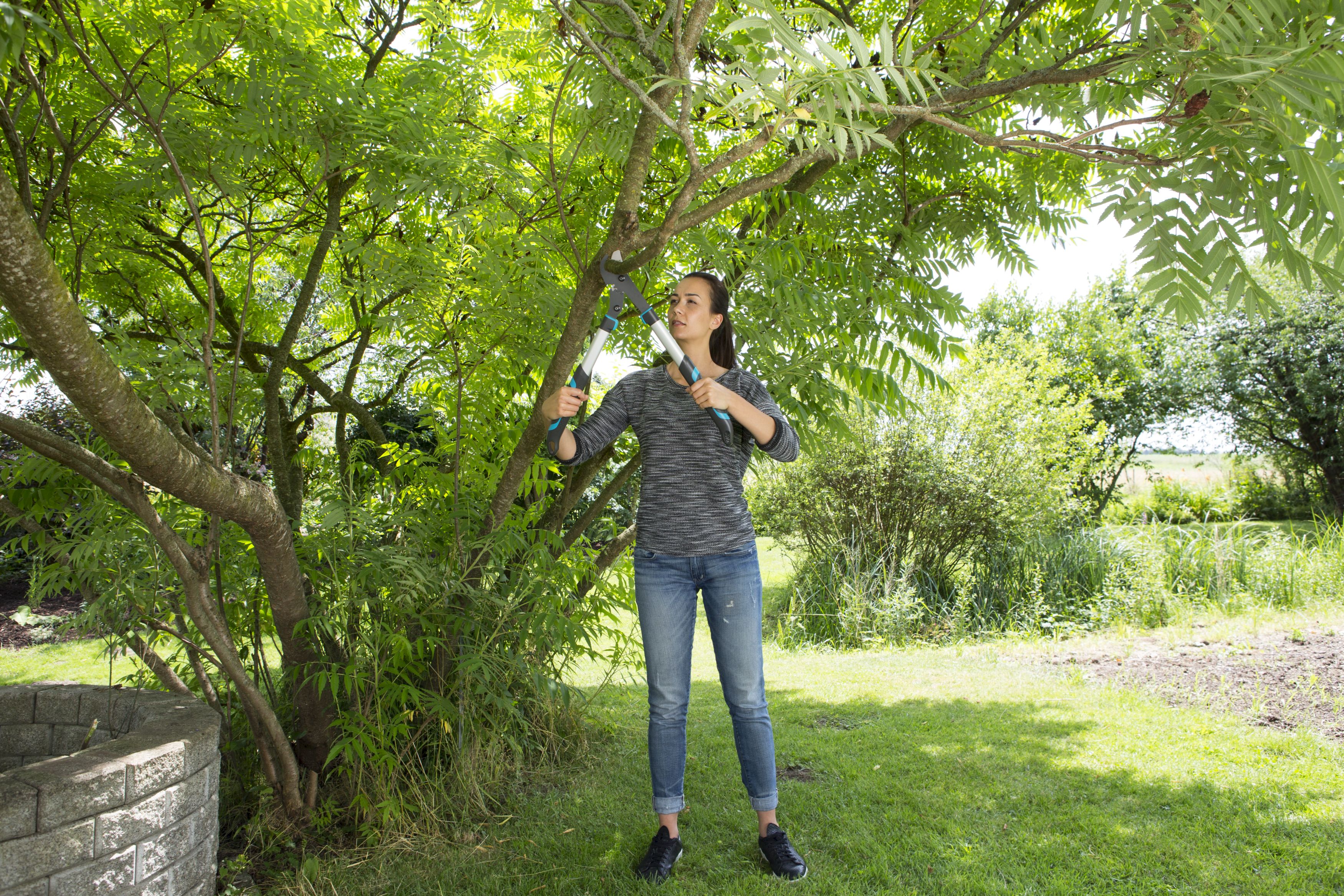 Cortarramas EnergyCut 600 B