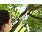 Cortarramas EnergyCut 600 B
