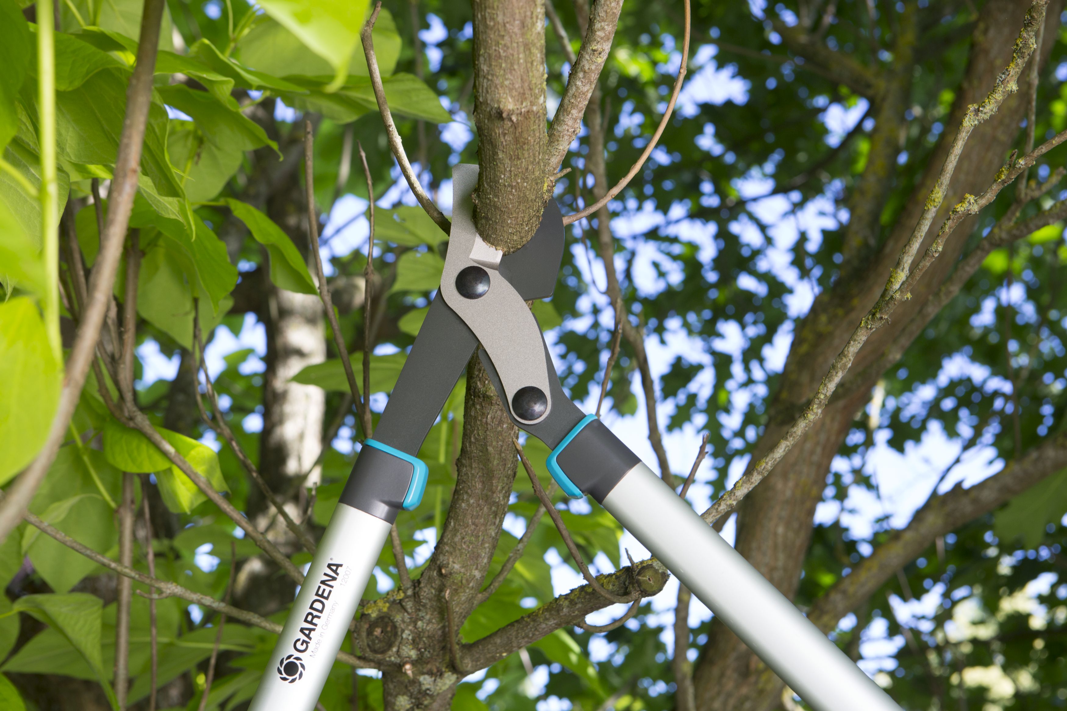 Cortarramas EnergyCut 750 B