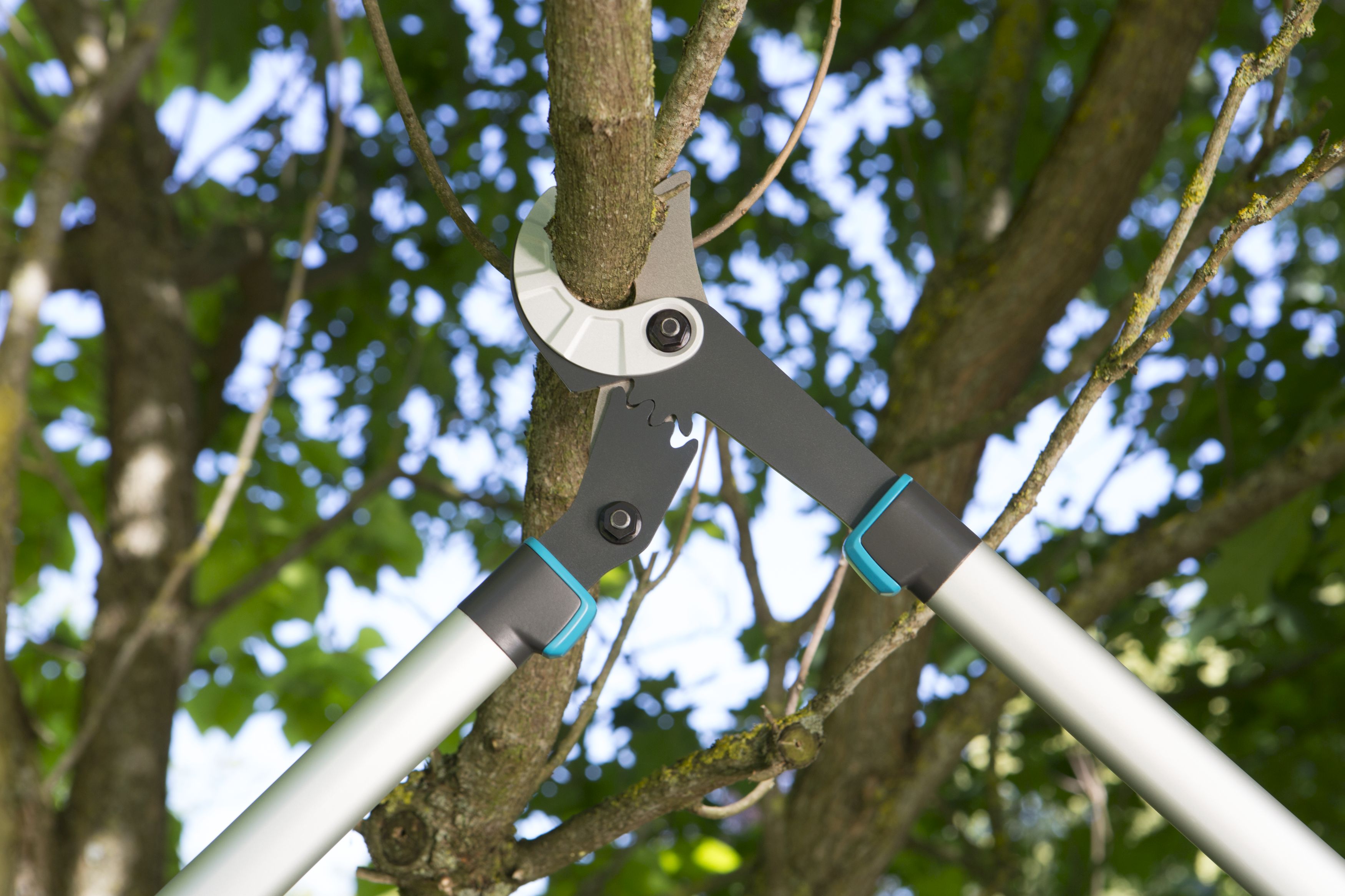 Cortarramas EnergyCut 750 A