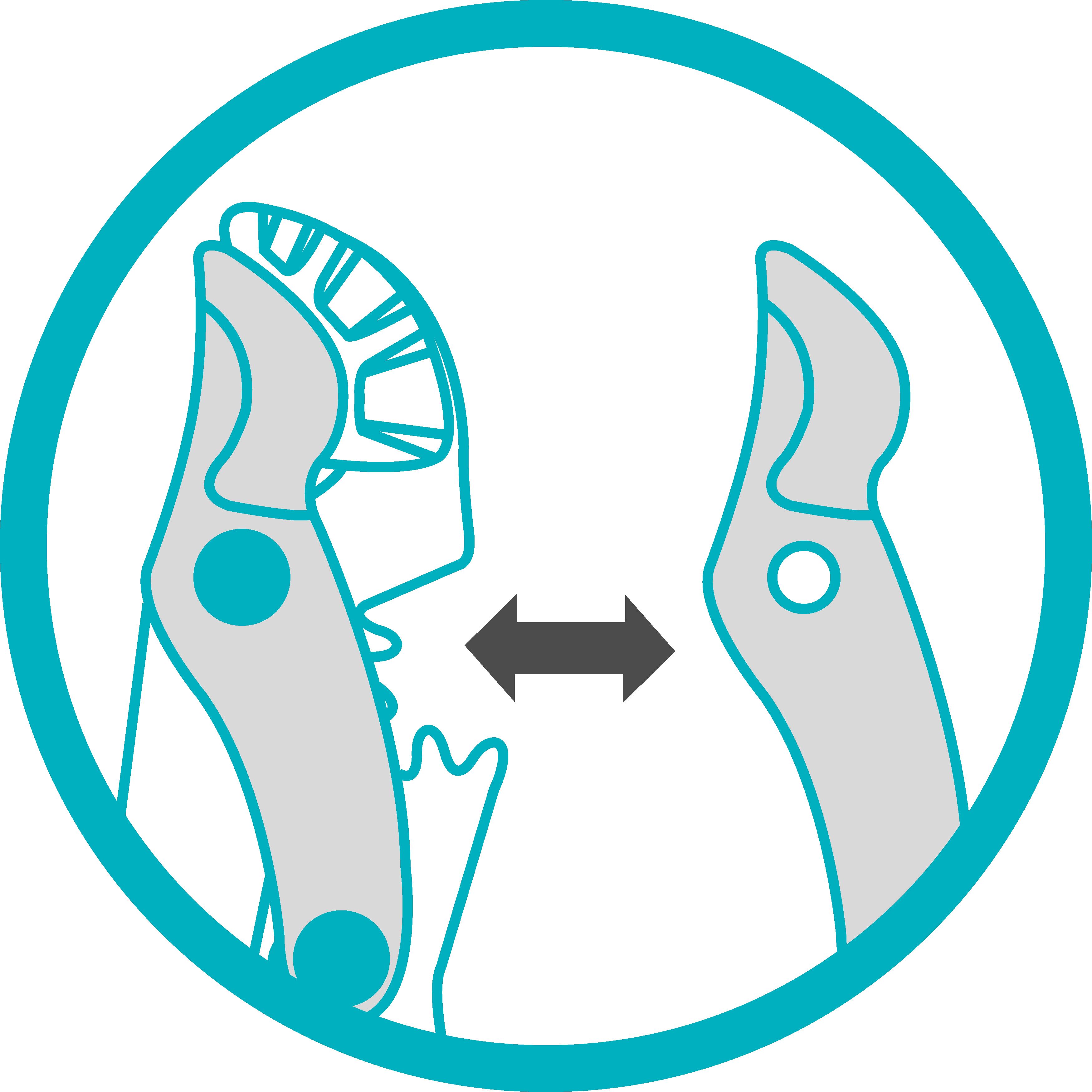 Cortarramas EnergyCut 750 A