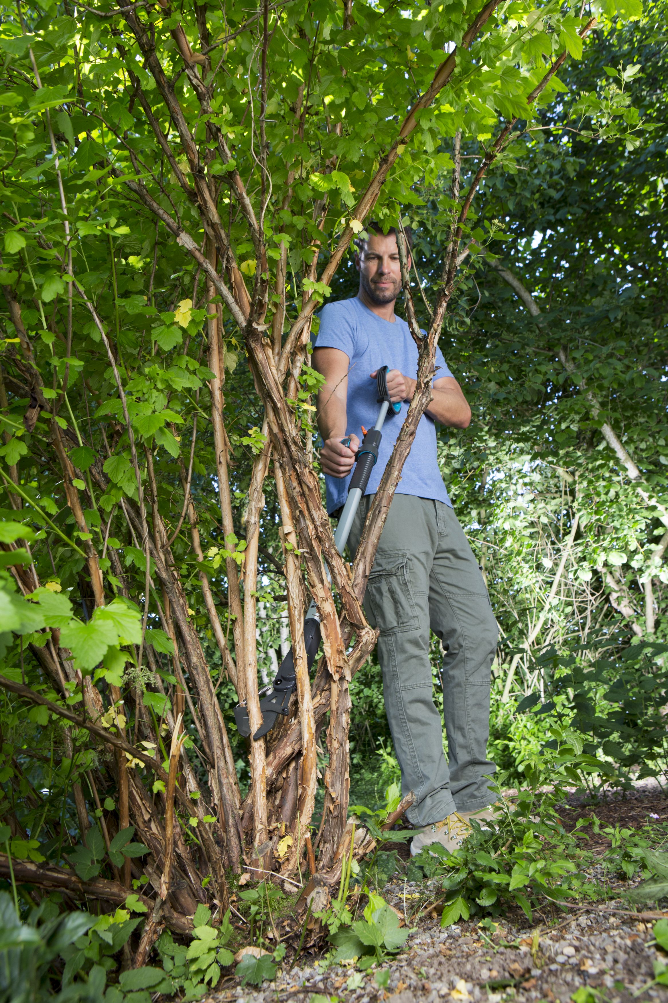 SlimCut   Cortarramas