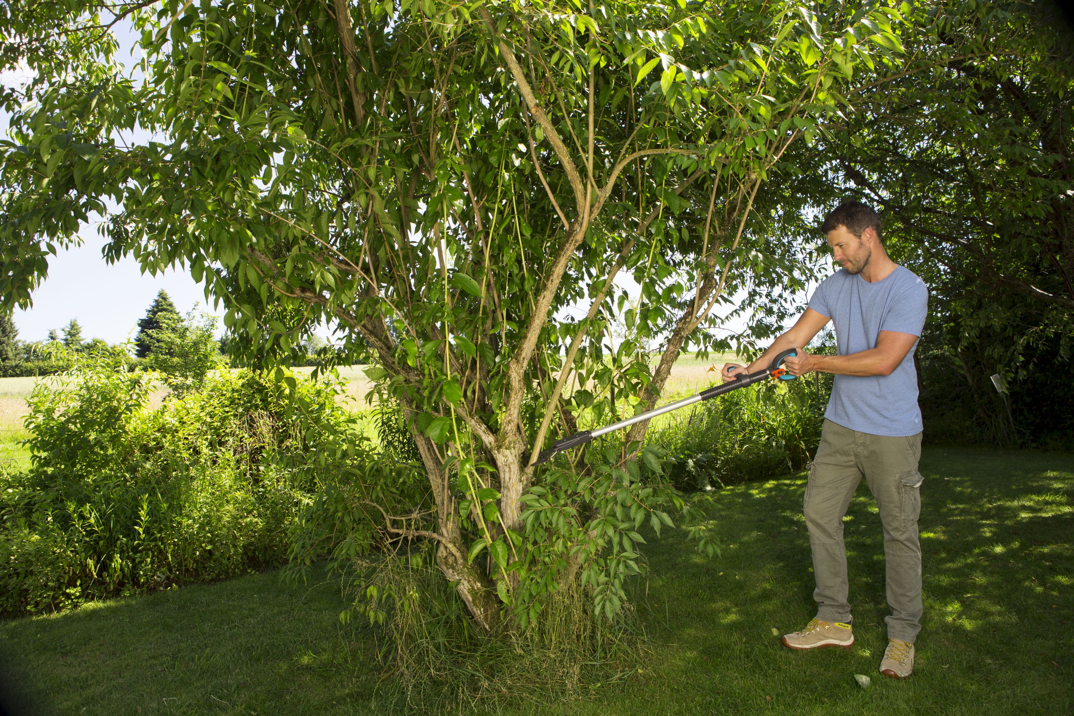 SlimCut   Cortarramas