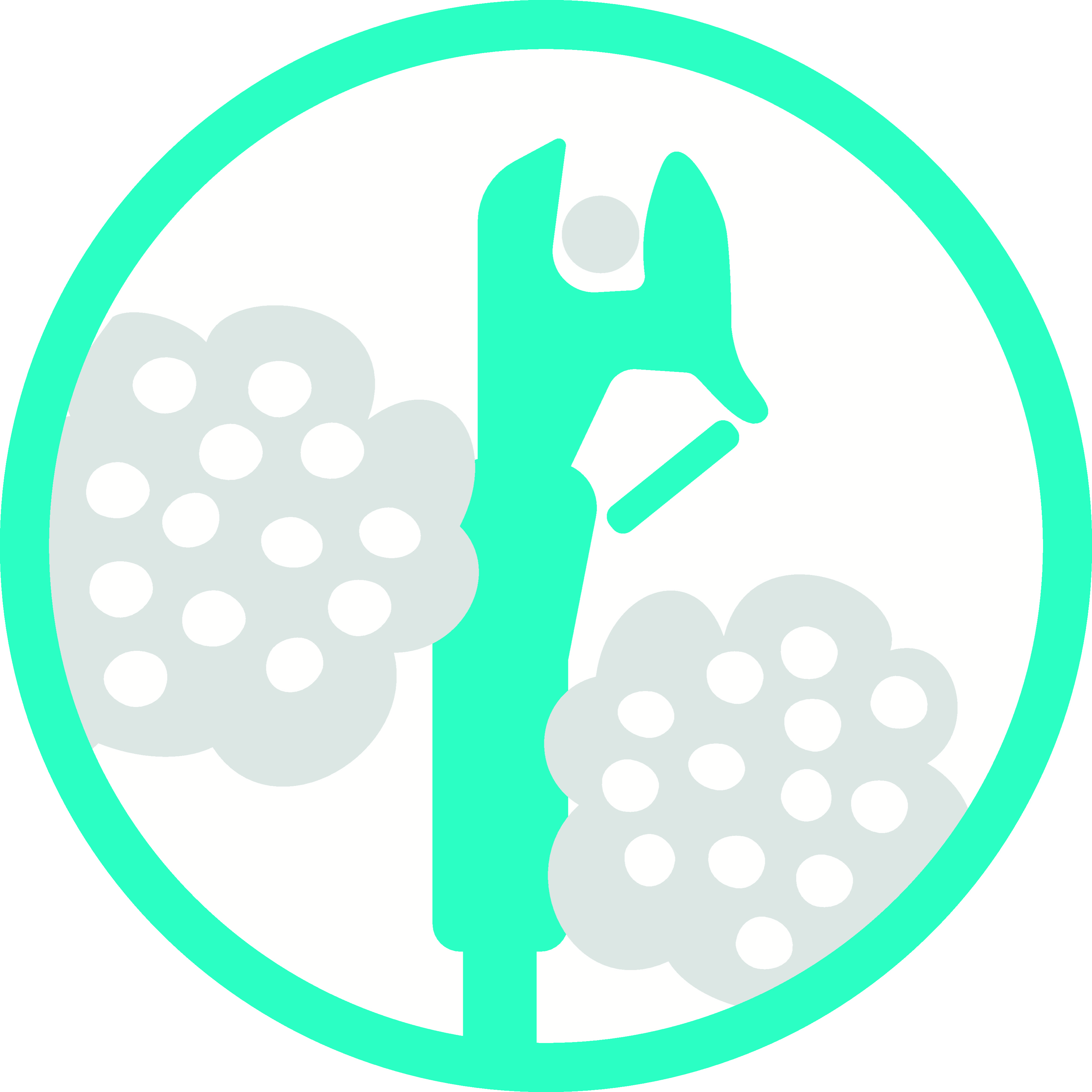 SlimCut   Cortarramas