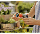 Pistola para balcones city gardening