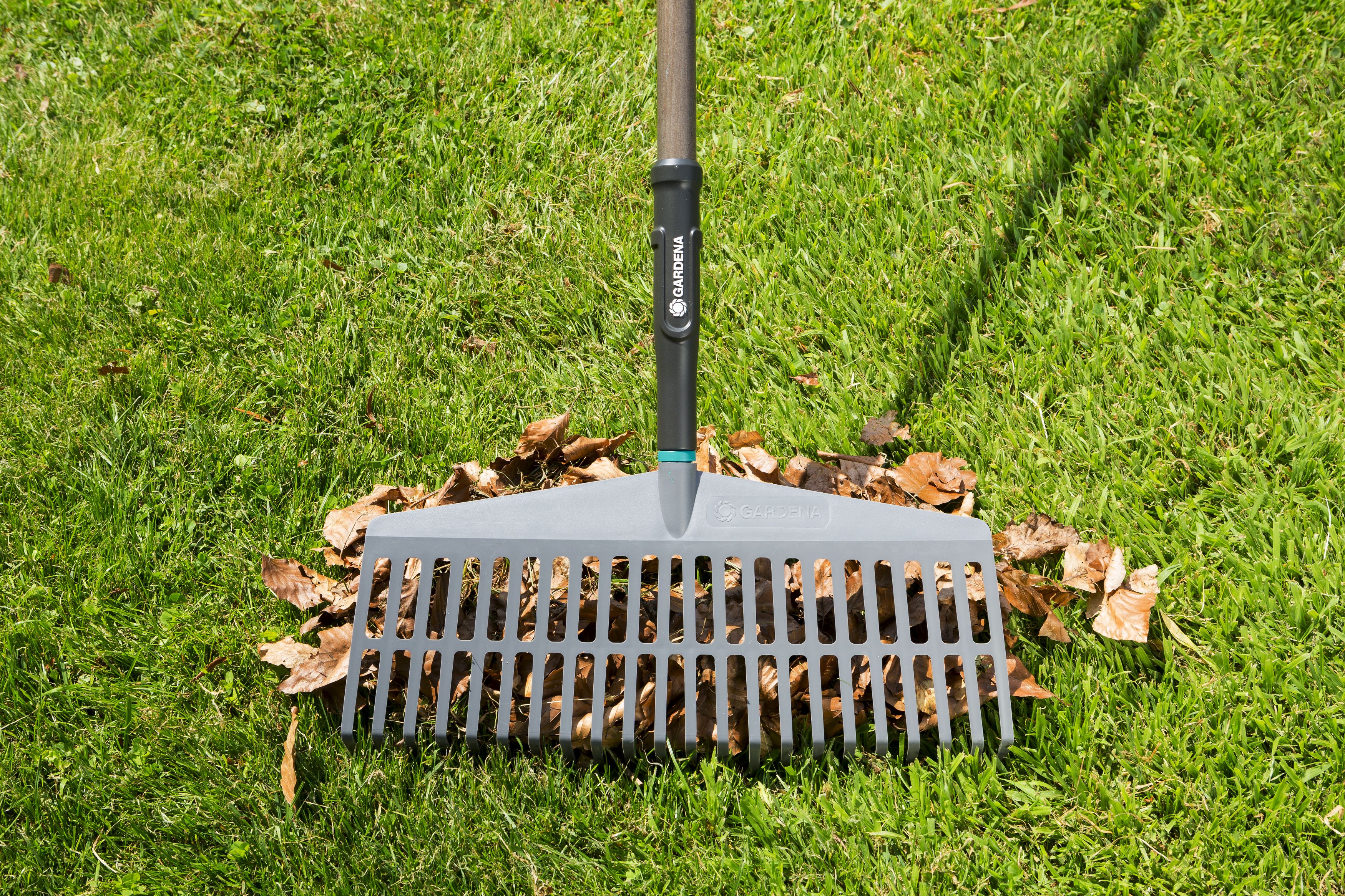 Promoción rastrillo Natureline ref. 17105