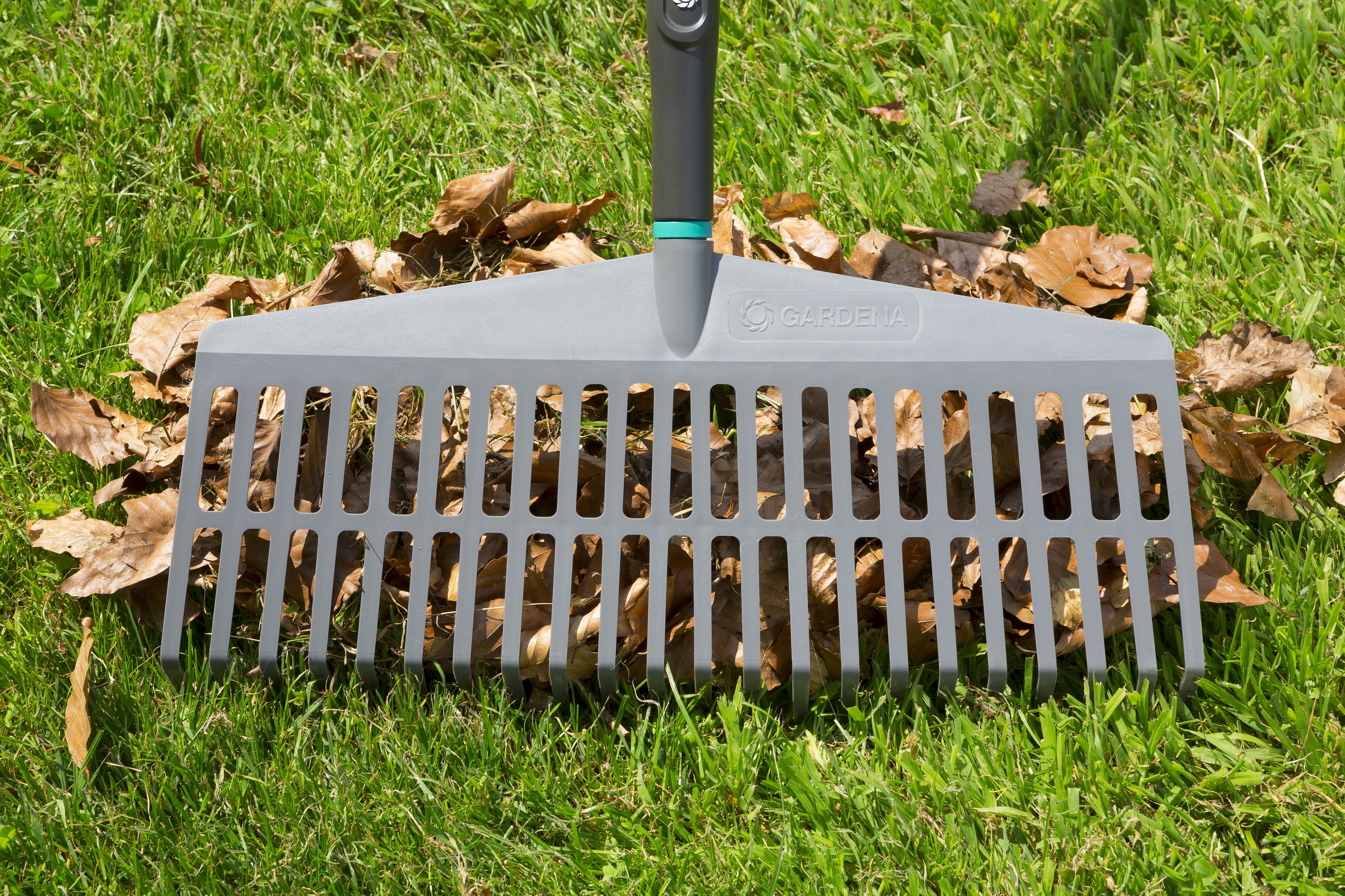 Promoción rastrillo Natureline ref. 17105