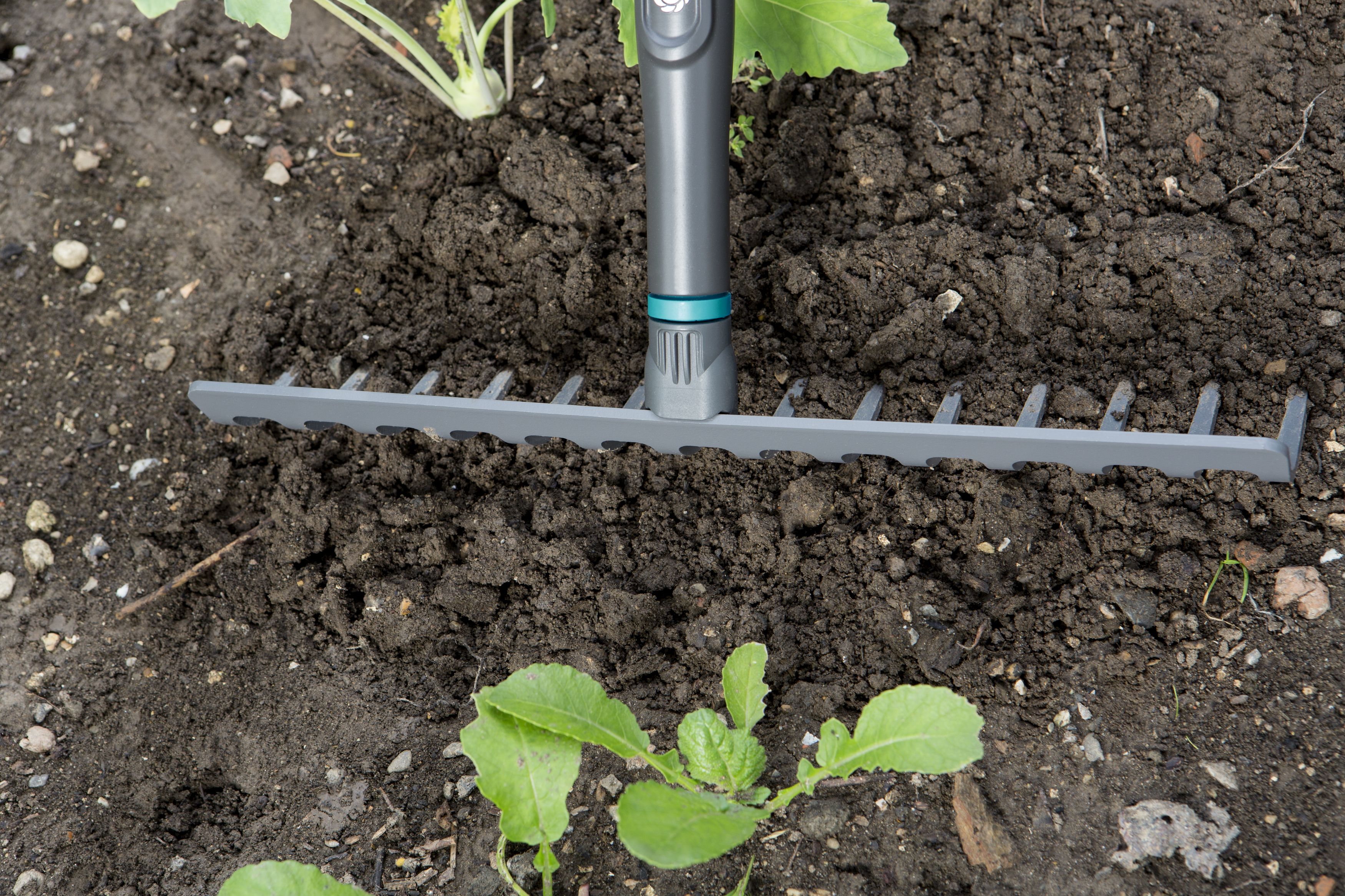 Promoción rastrillo Natureline ref. 17106