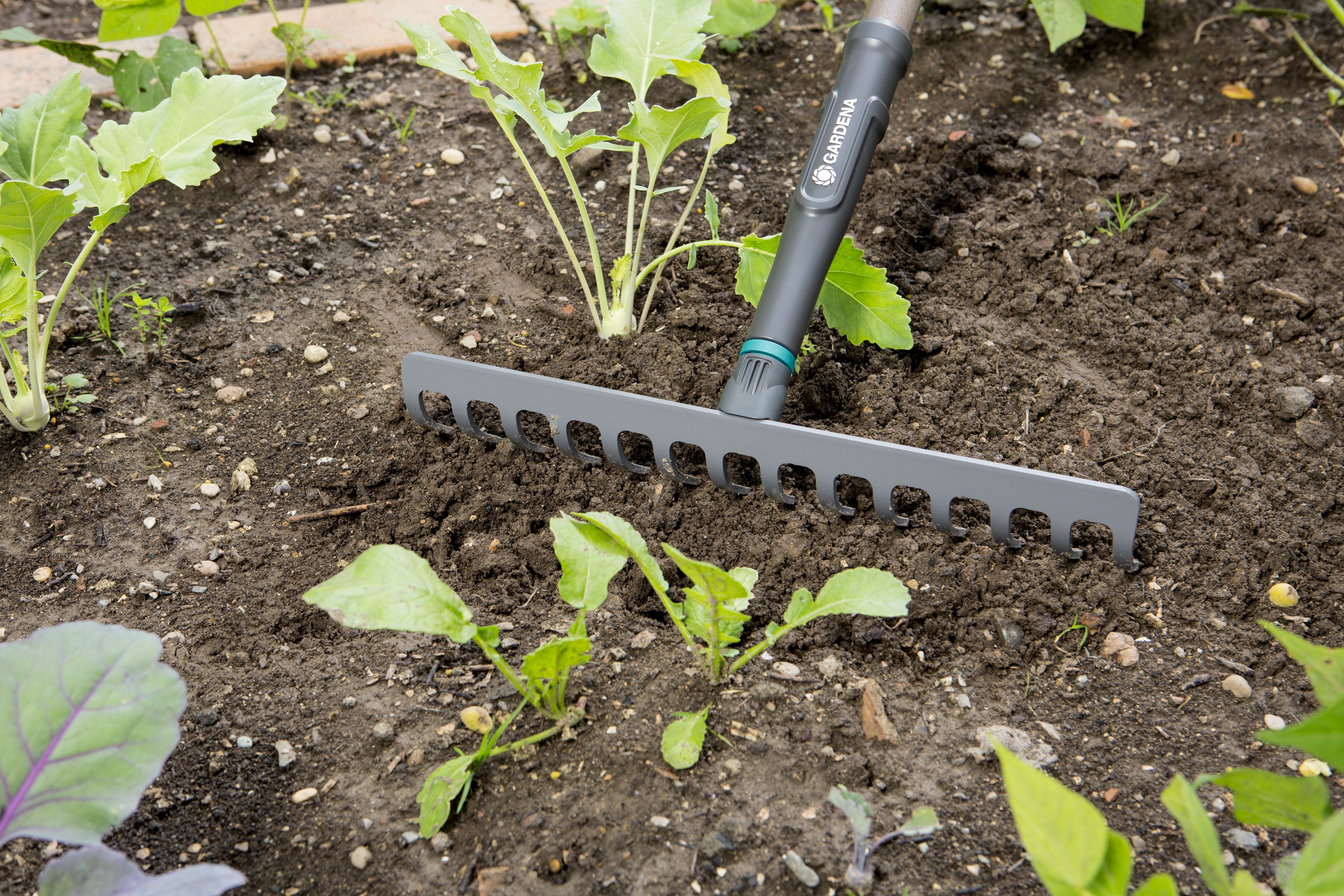 Promoción rastrillo Natureline ref. 17106