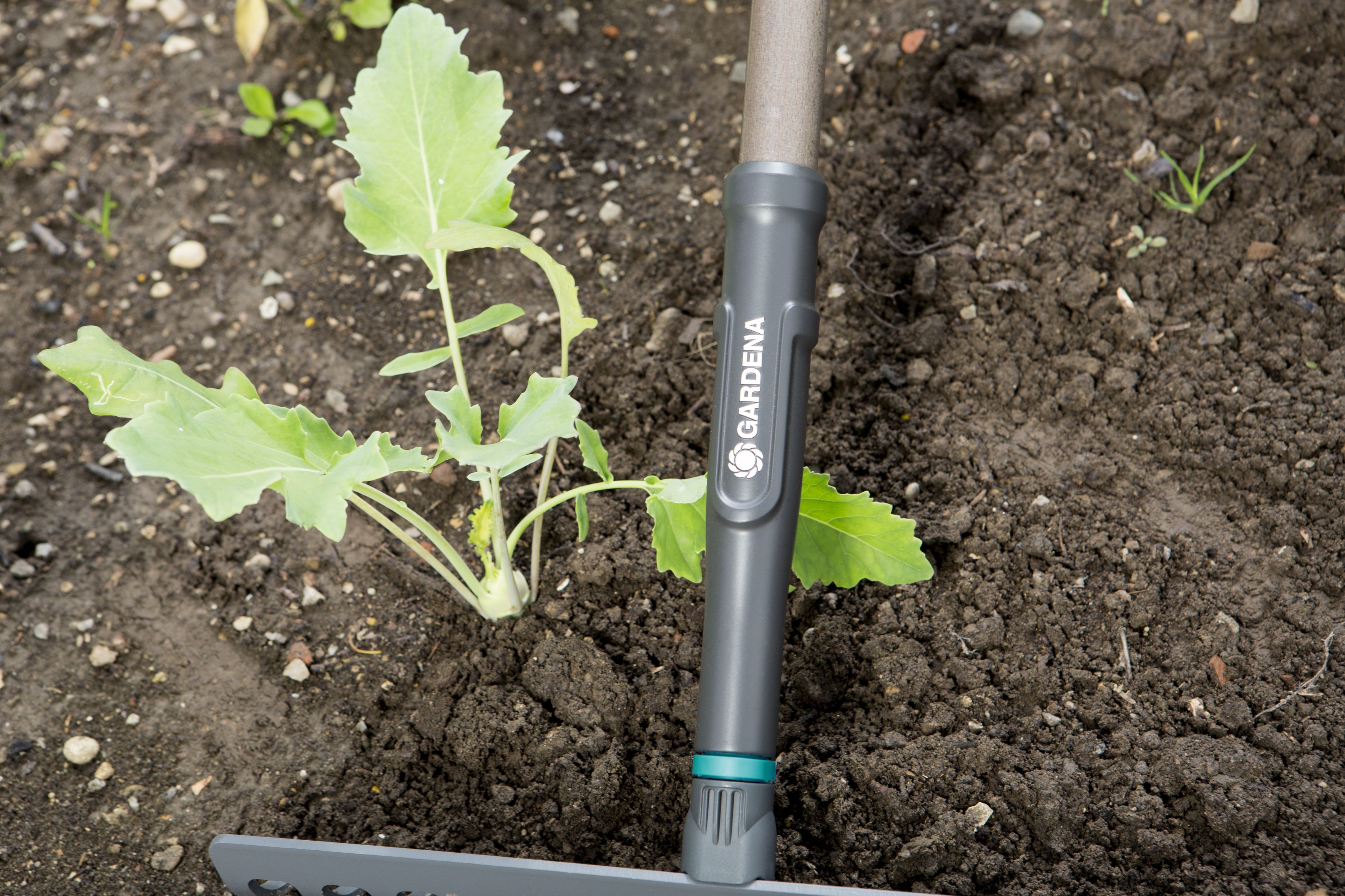 Promoción rastrillo Natureline ref. 17106