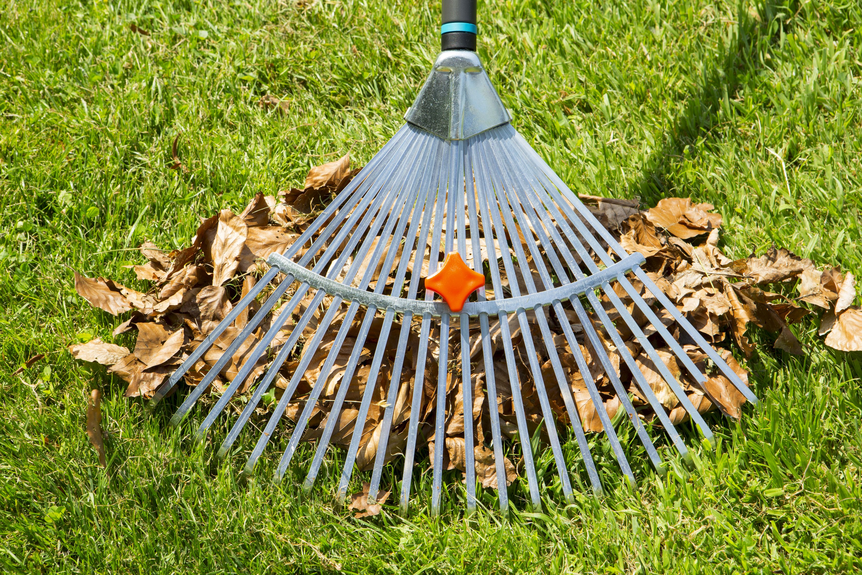 Rastrillo de césped Natureline