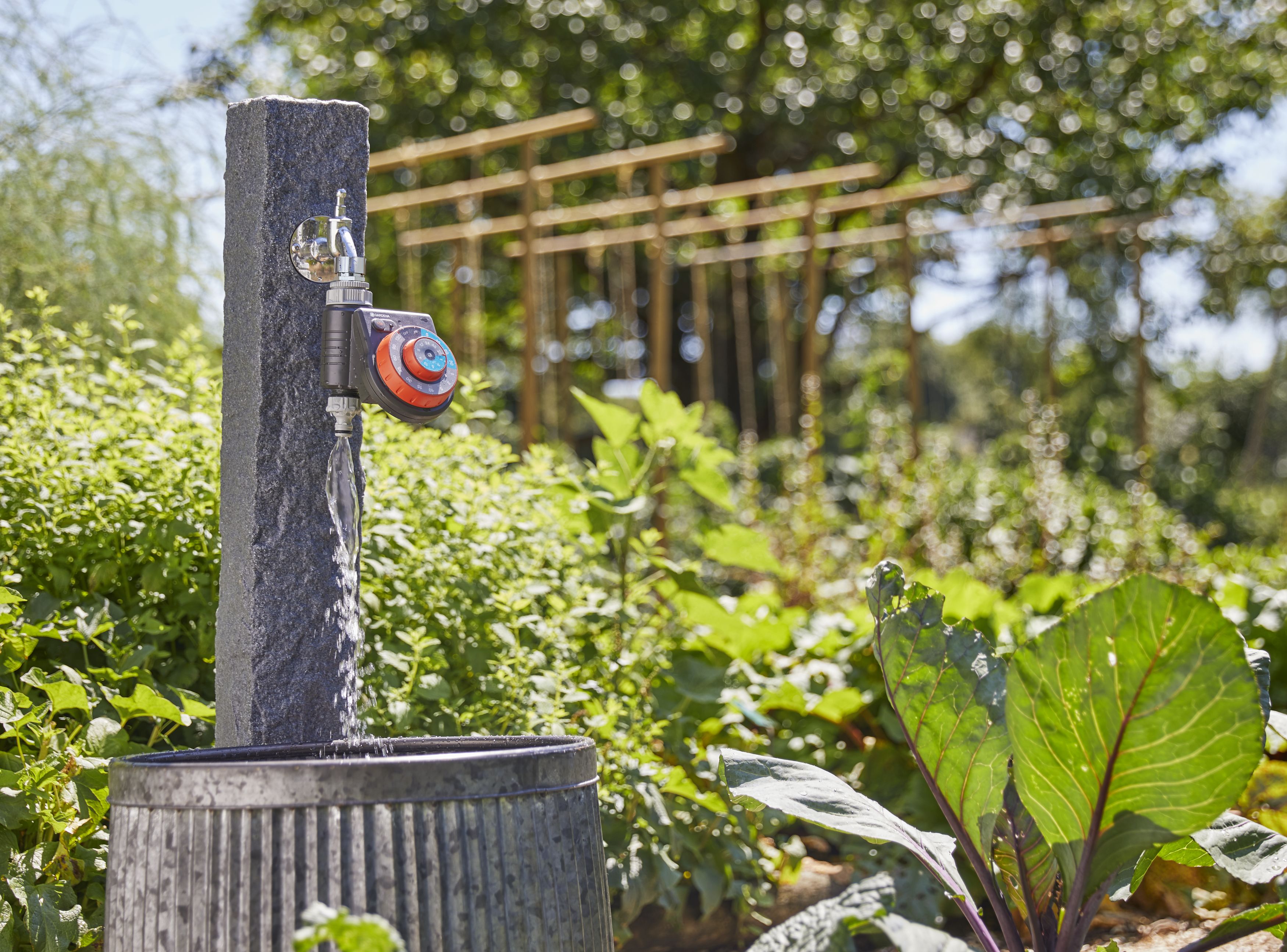 Programador Easy Plus