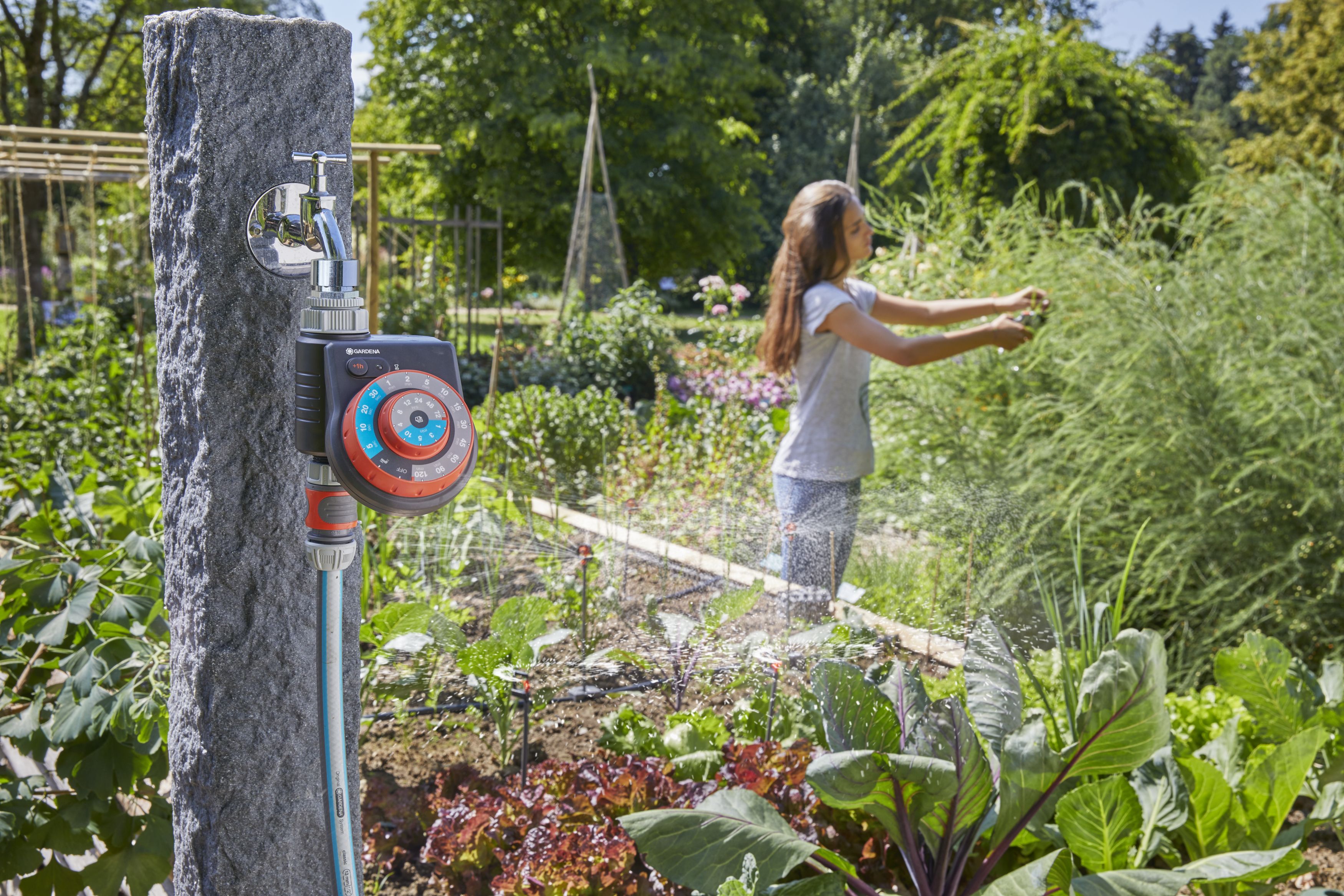 Programador Easy Plus