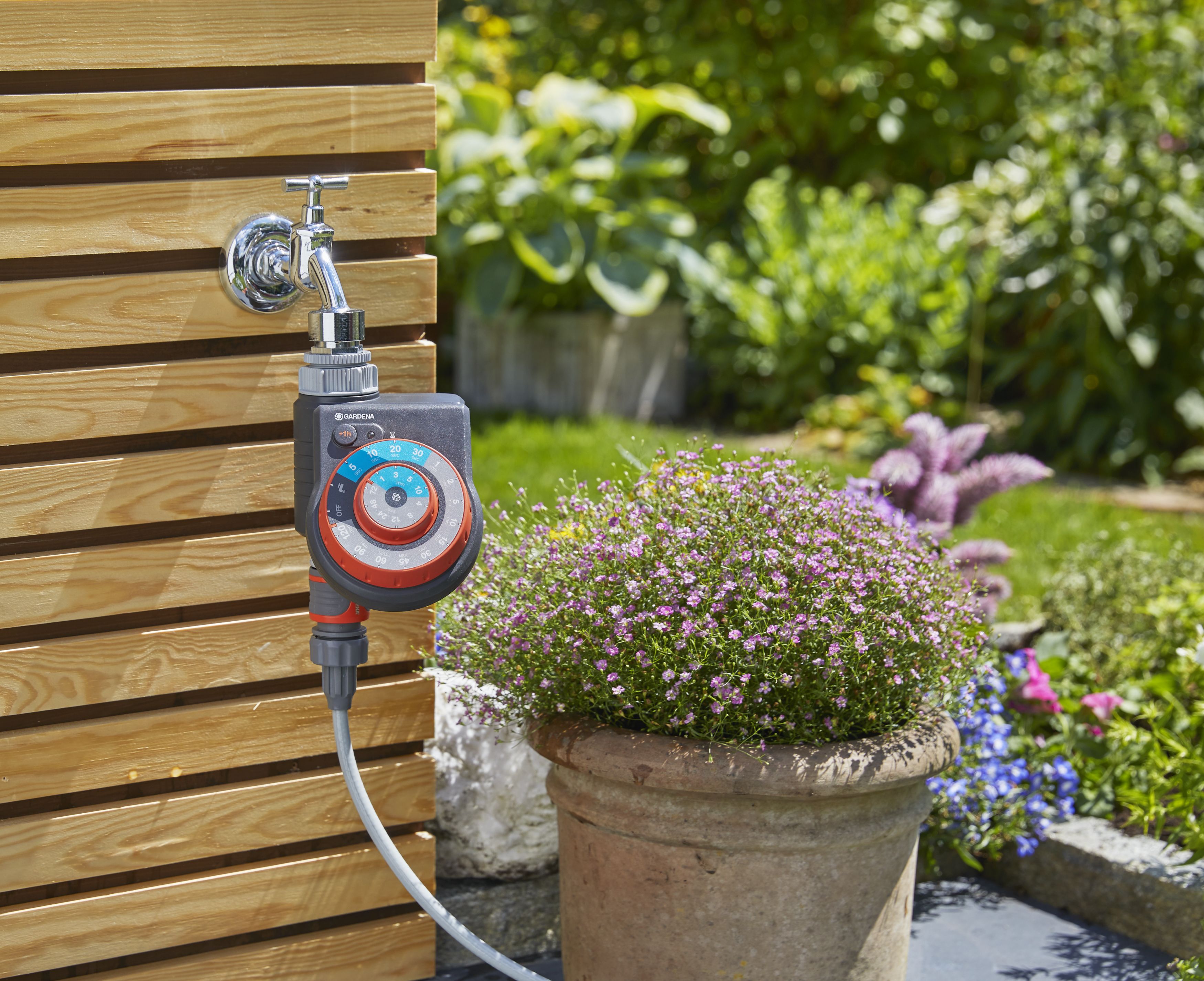 Programador Easy Plus