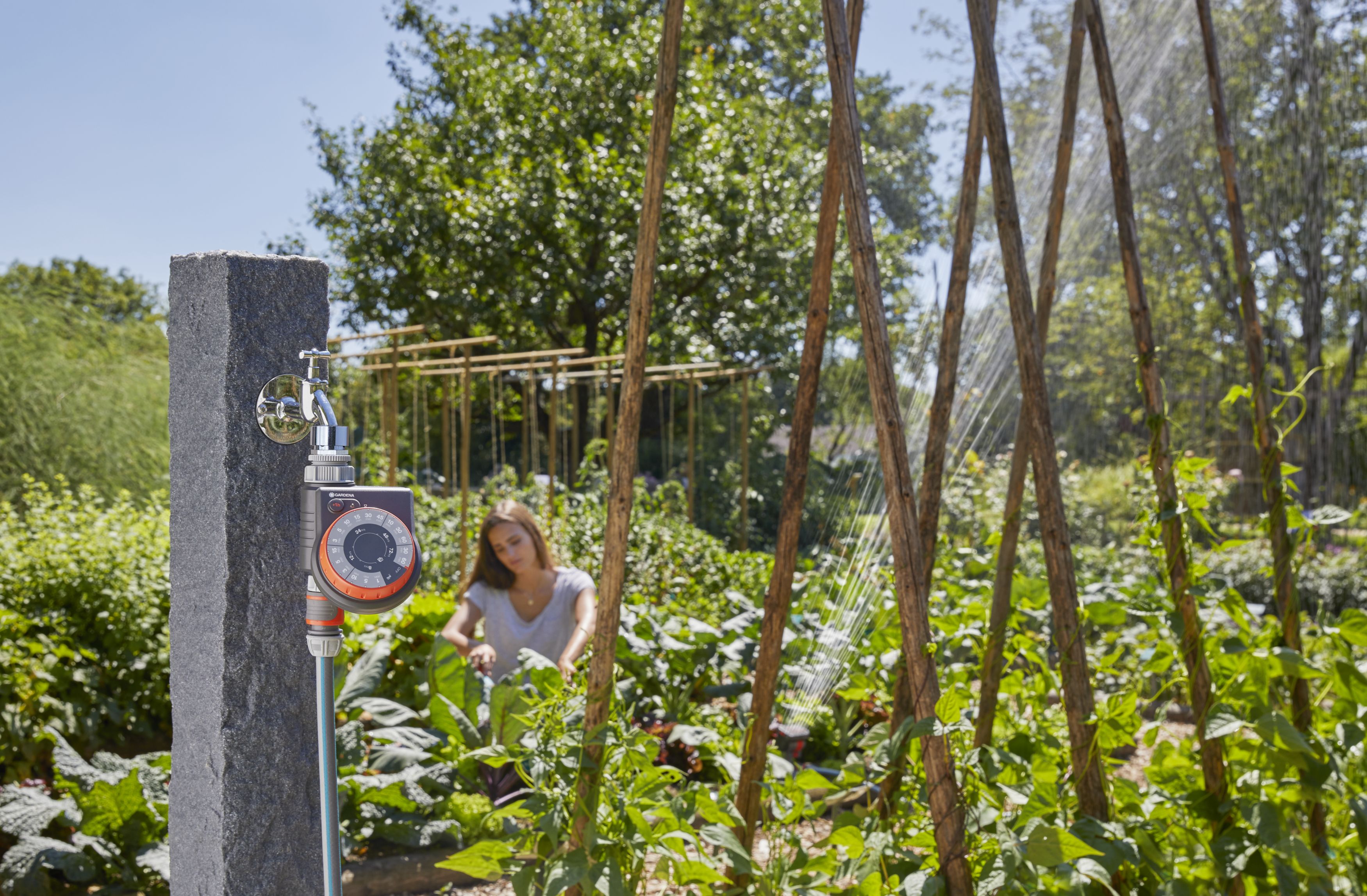 Programador Easy Control