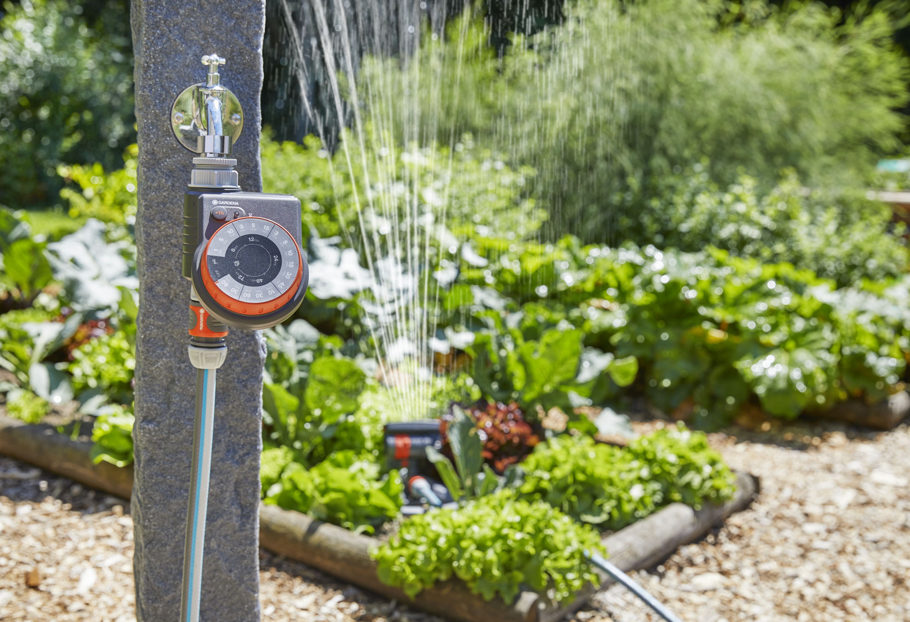 Programador Easy Control