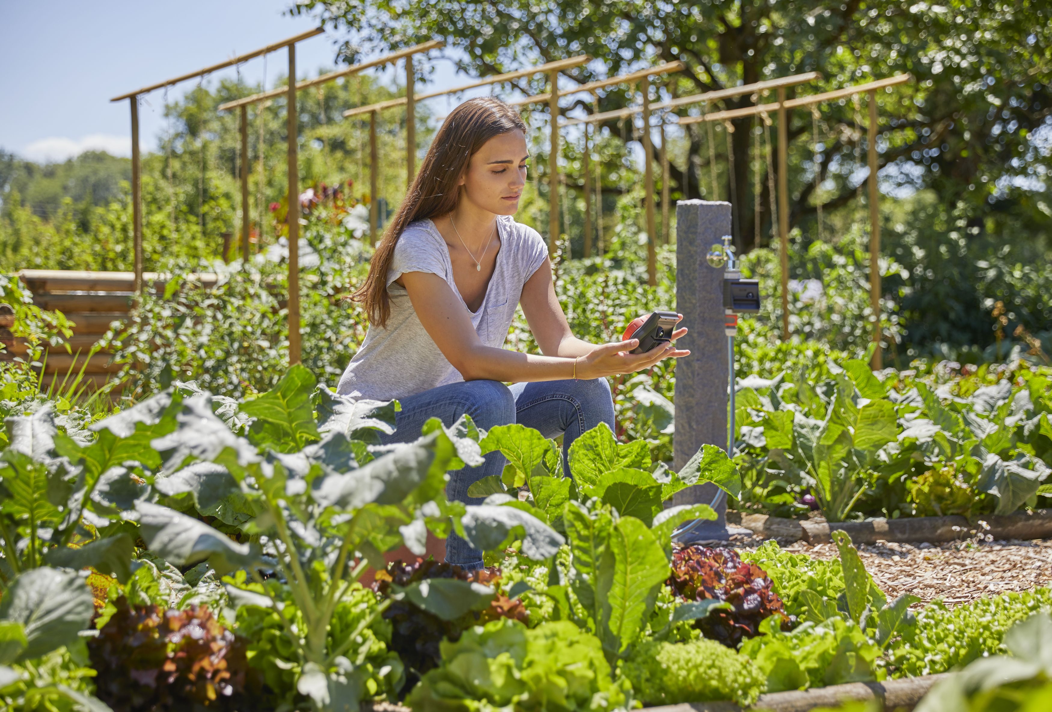 Programador Easy Control