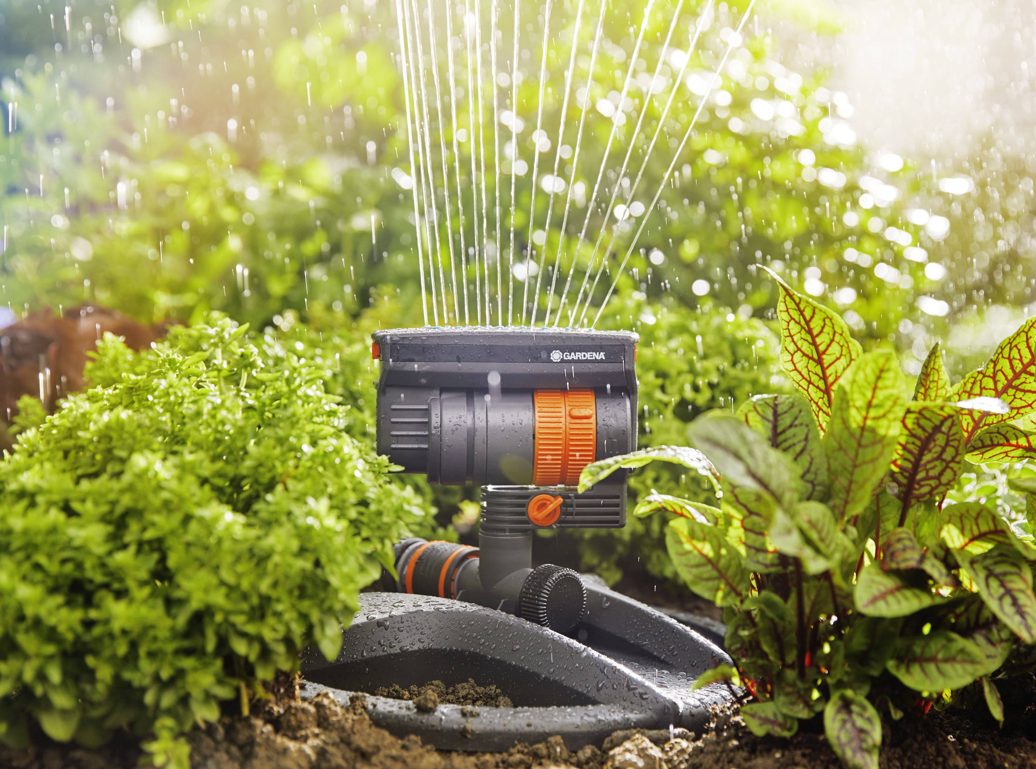 Aspersor Oscilante Aquazoom compact