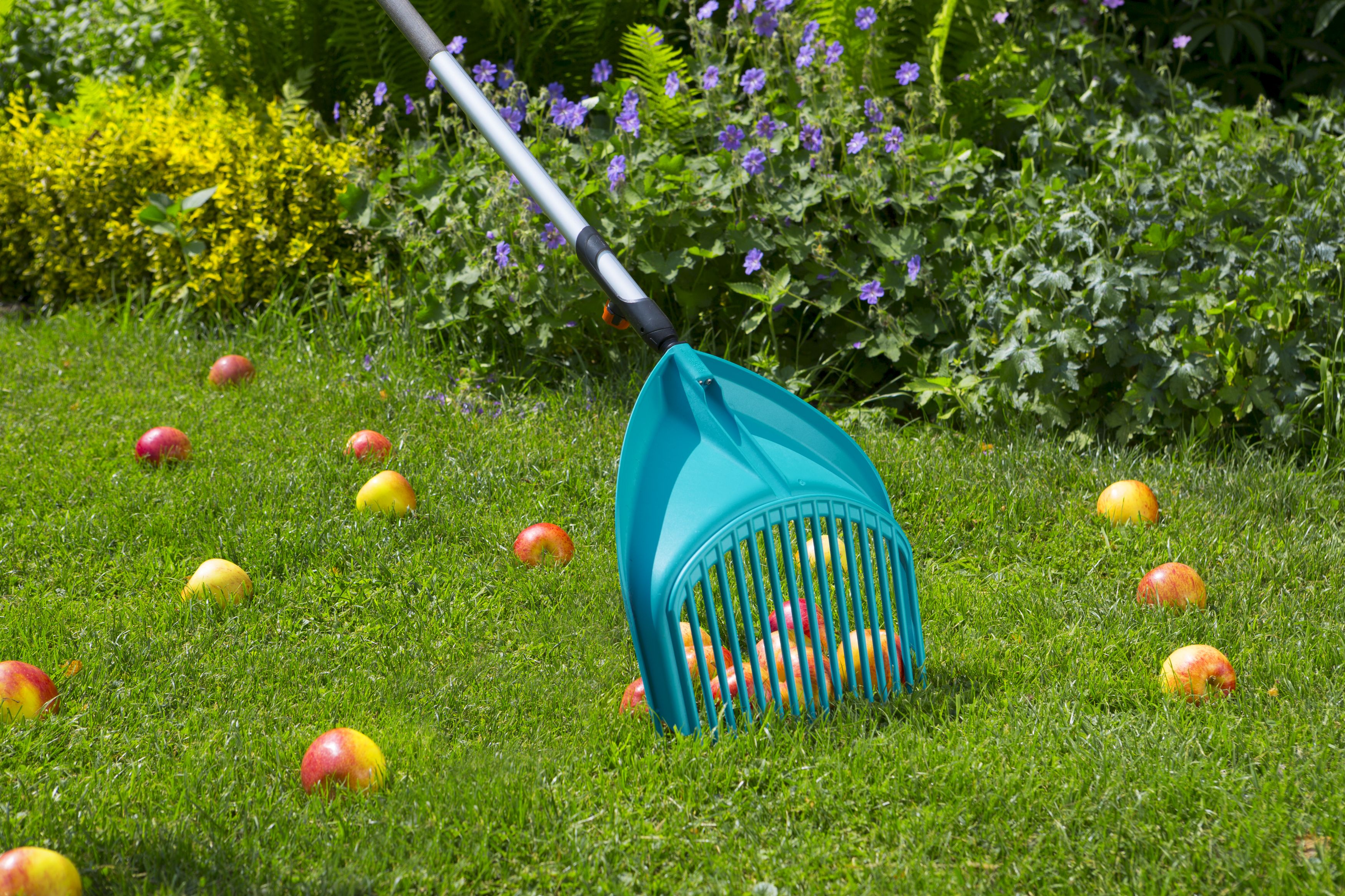 Cepillo recoge hojas Combisystem