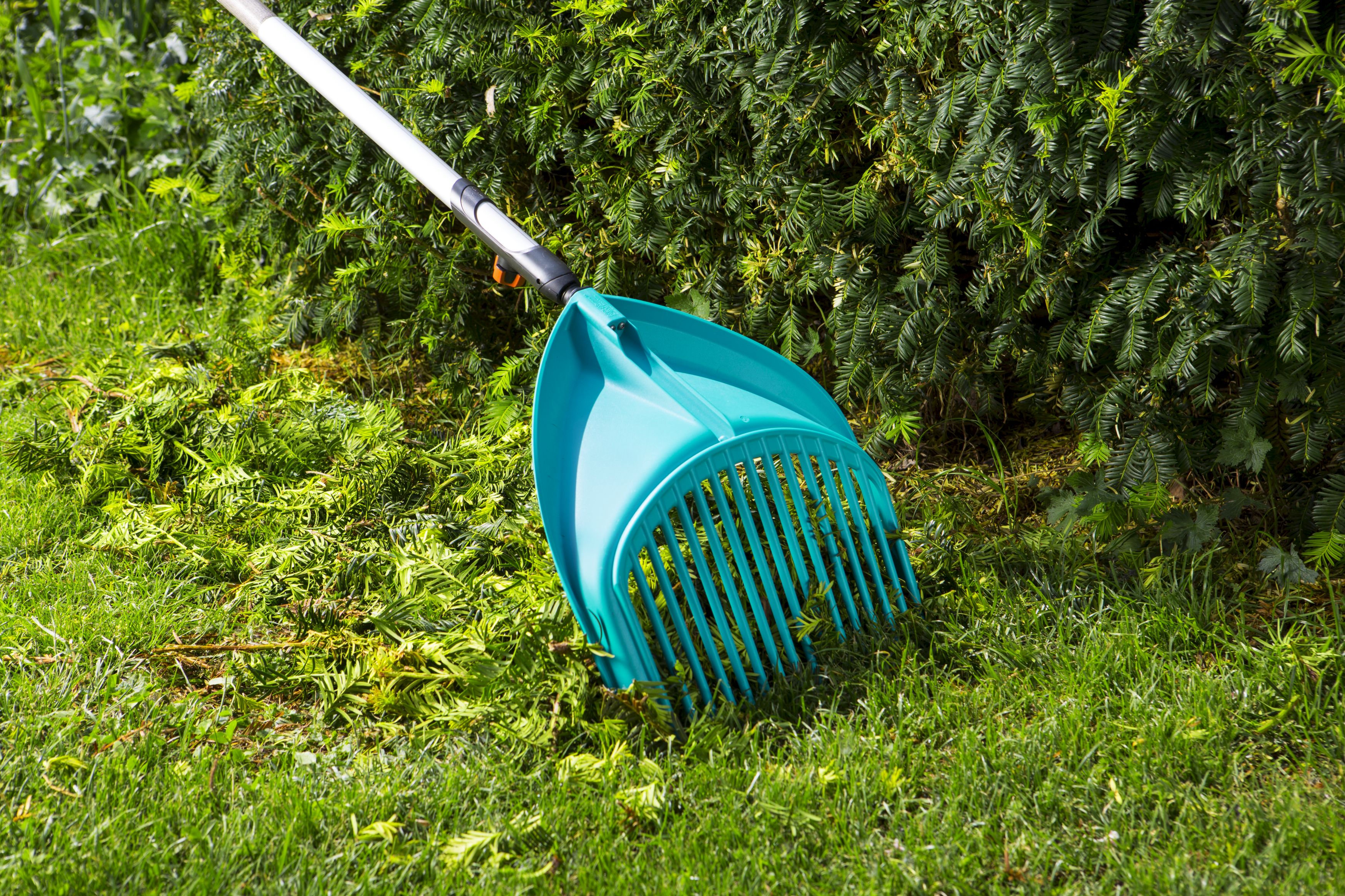 Cepillo recoge hojas Combisystem